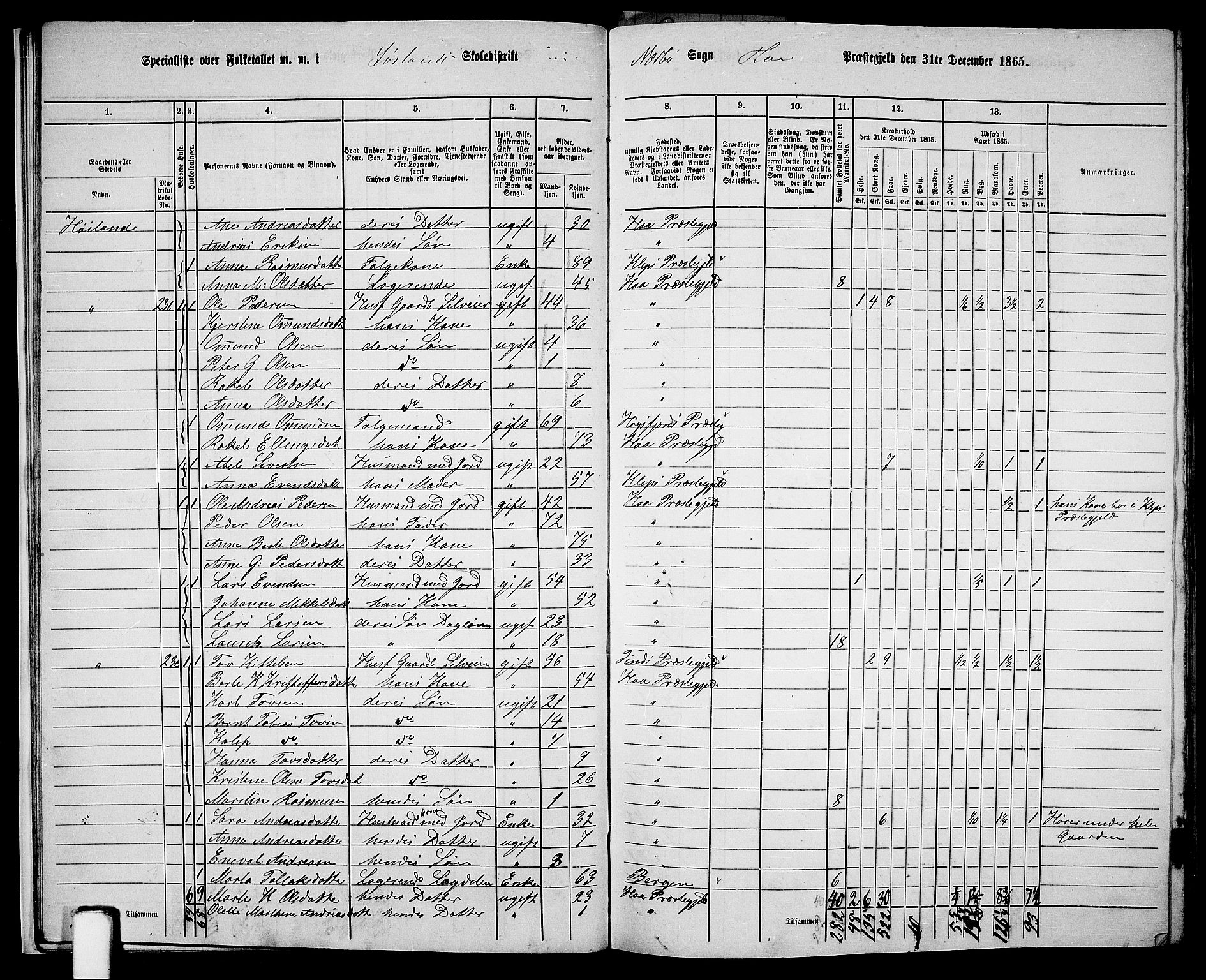 RA, 1865 census for Hå, 1865, p. 19