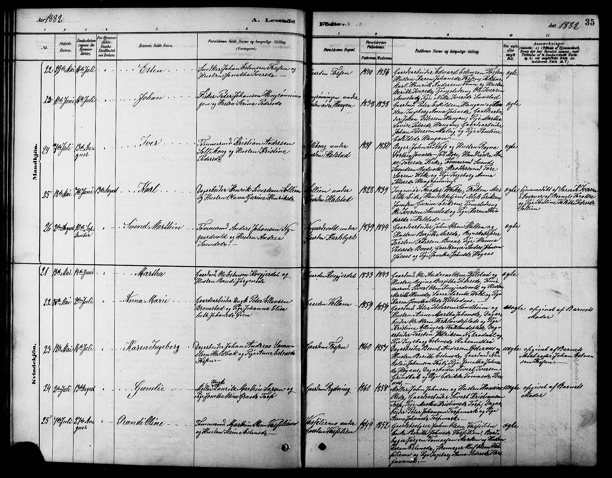 Ministerialprotokoller, klokkerbøker og fødselsregistre - Sør-Trøndelag, AV/SAT-A-1456/616/L0423: Parish register (copy) no. 616C06, 1878-1903, p. 35