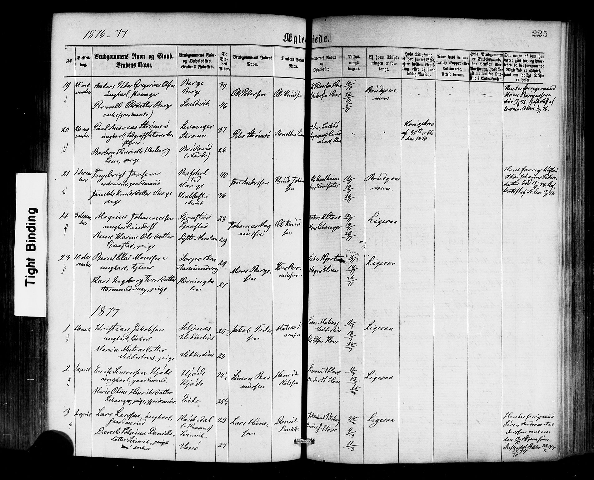 Selje sokneprestembete, SAB/A-99938/H/Ha/Haa/Haaa: Parish register (official) no. A 12, 1870-1880, p. 225