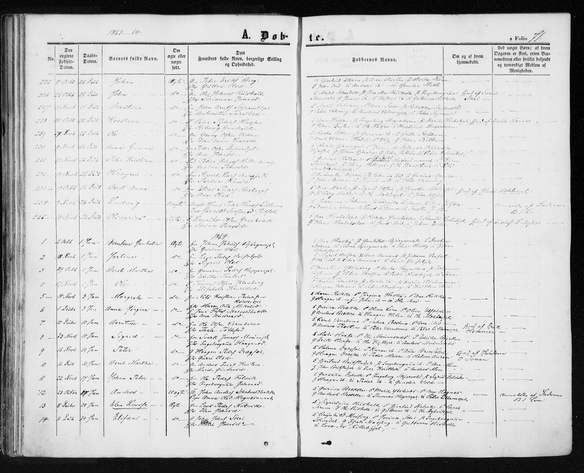 Ministerialprotokoller, klokkerbøker og fødselsregistre - Nord-Trøndelag, SAT/A-1458/709/L0075: Parish register (official) no. 709A15, 1859-1870, p. 71