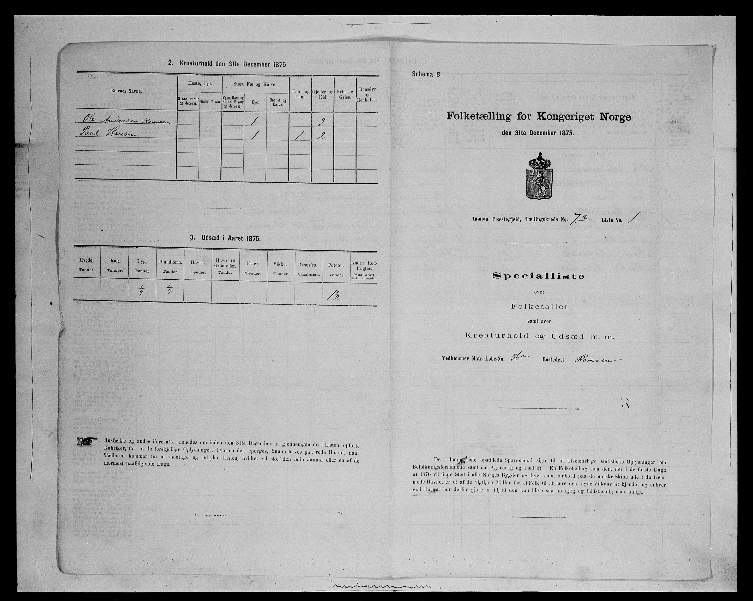 SAH, 1875 census for 0429P Åmot, 1875, p. 1006