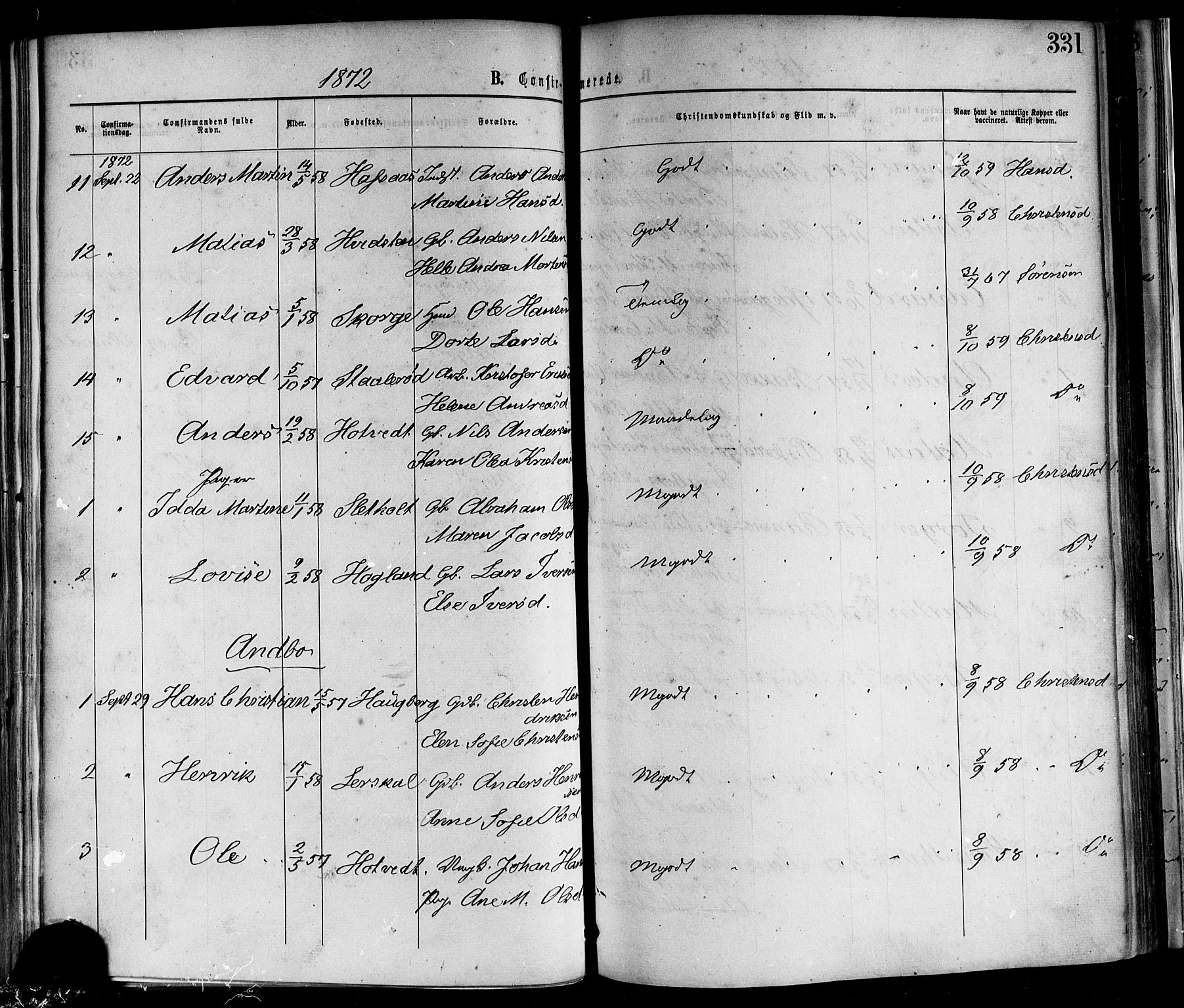 Andebu kirkebøker, AV/SAKO-A-336/F/Fa/L0006: Parish register (official) no. 6, 1871-1878, p. 331