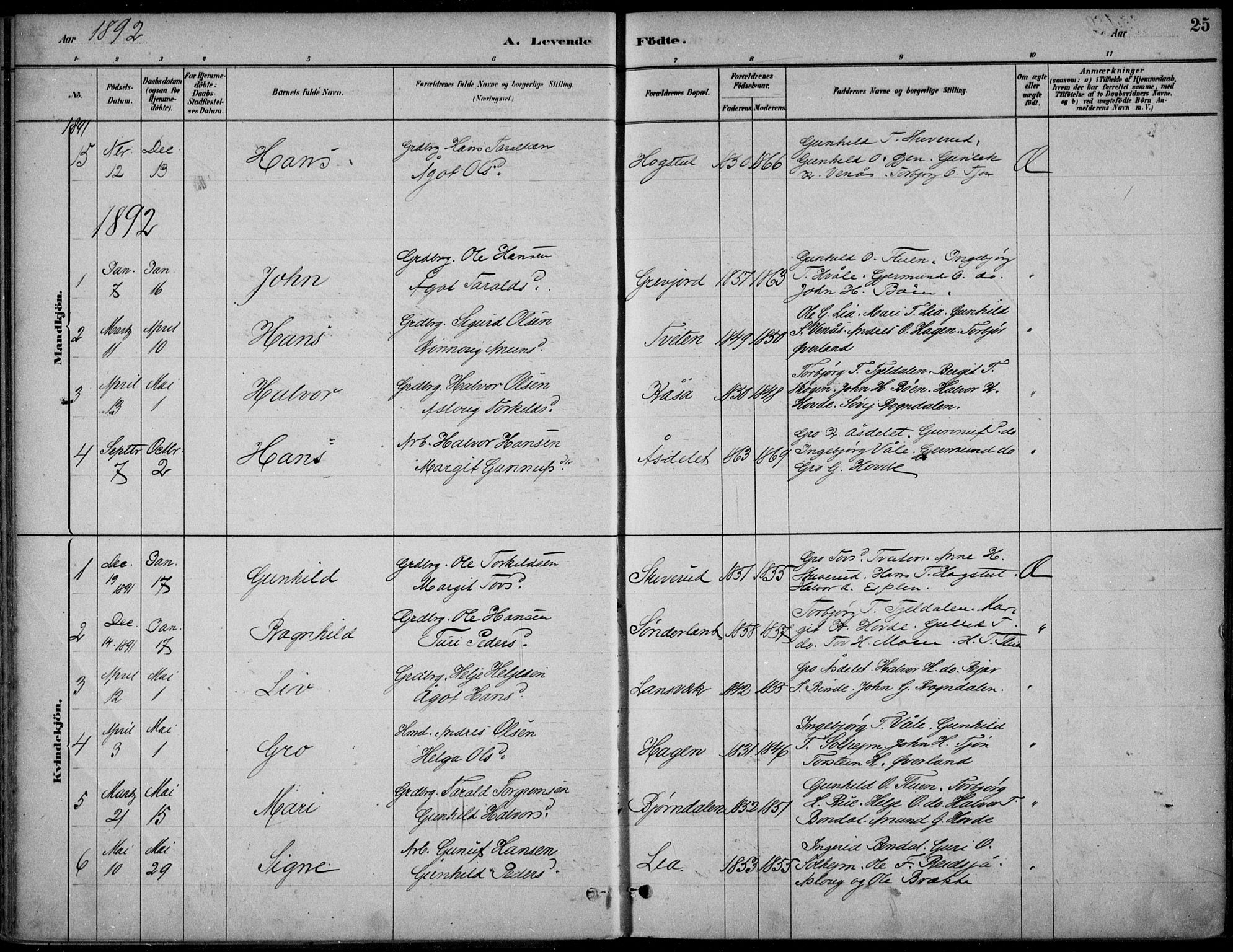 Hjartdal kirkebøker, SAKO/A-270/F/Fc/L0002: Parish register (official) no. III 2, 1880-1936, p. 25