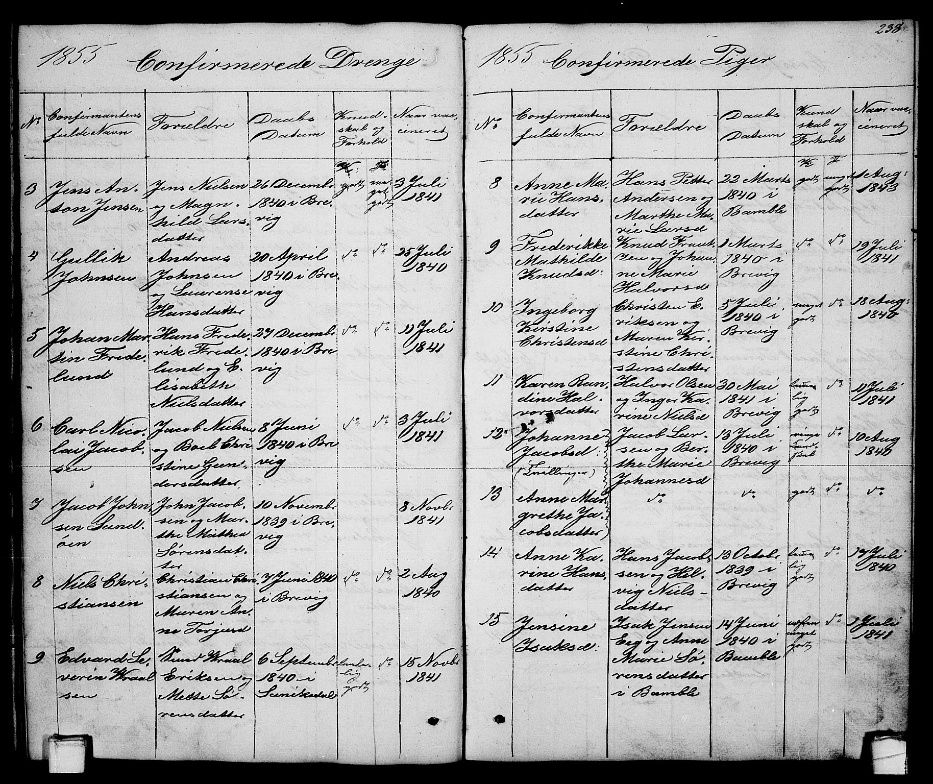 Brevik kirkebøker, AV/SAKO-A-255/G/Ga/L0002: Parish register (copy) no. 2, 1846-1865, p. 238