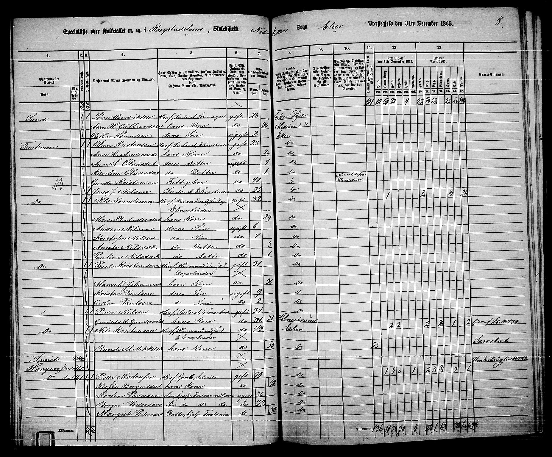 RA, 1865 census for Eiker, 1865, p. 326