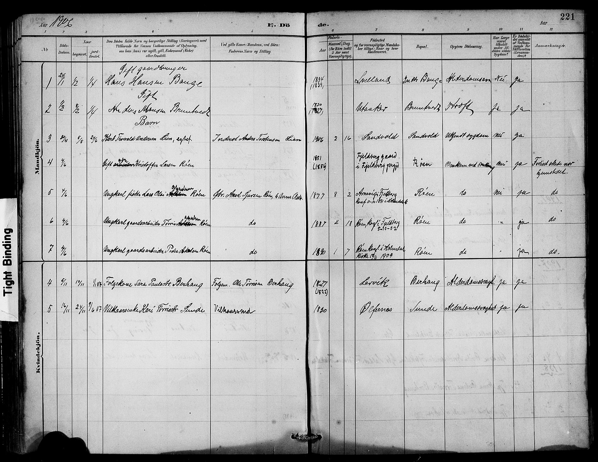 Husnes Sokneprestembete, SAB/A-75901/H/Hab: Parish register (copy) no. B 2, 1884-1914, p. 221