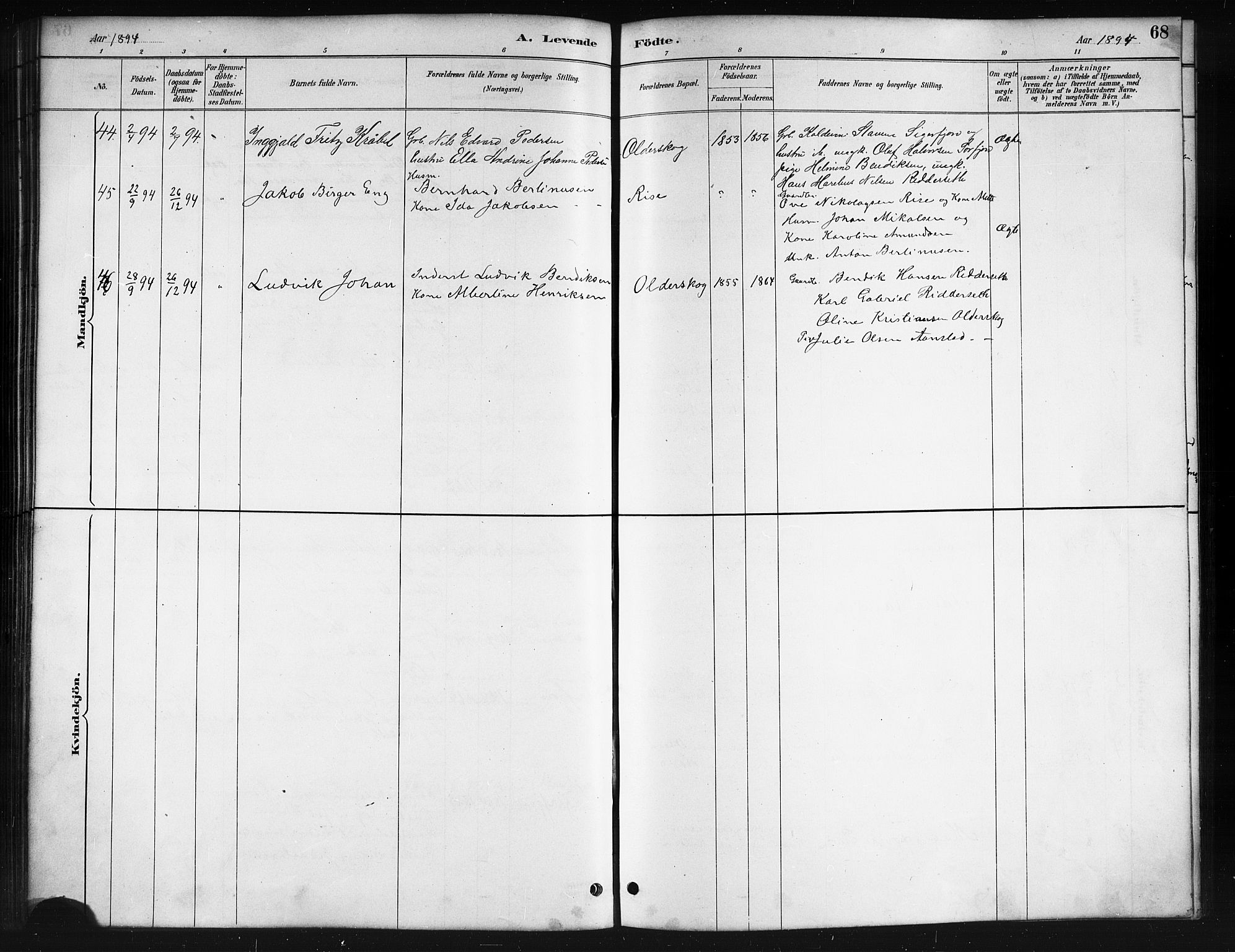 Ministerialprotokoller, klokkerbøker og fødselsregistre - Nordland, AV/SAT-A-1459/895/L1382: Parish register (copy) no. 895C04, 1885-1896, p. 68