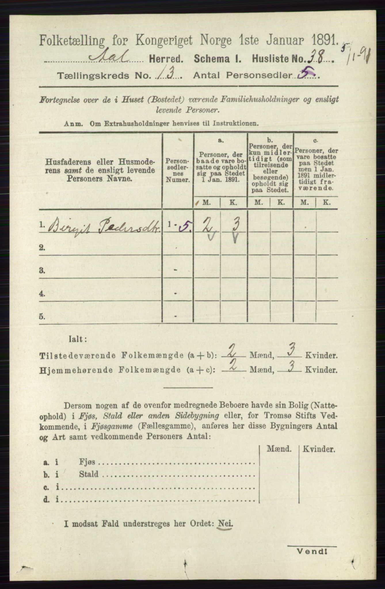 RA, 1891 census for 0619 Ål, 1891, p. 3251