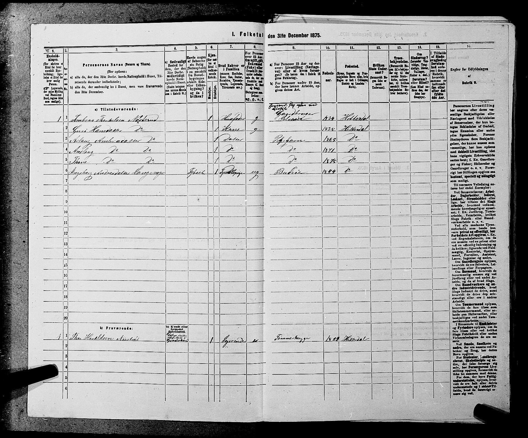 SAKO, 1875 census for 0823P Heddal, 1875, p. 219