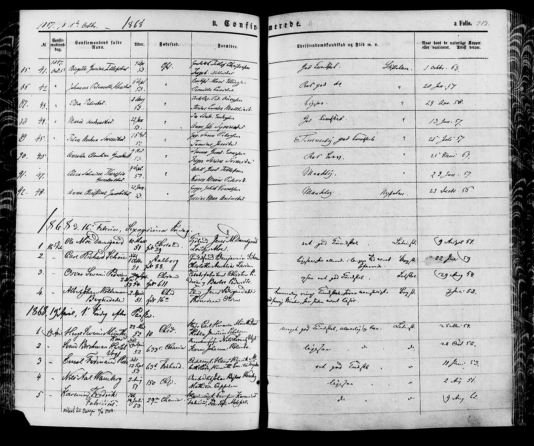 Kristiansand domprosti, SAK/1112-0006/F/Fa/L0015: Parish register (official) no. A 15, 1867-1880, p. 213