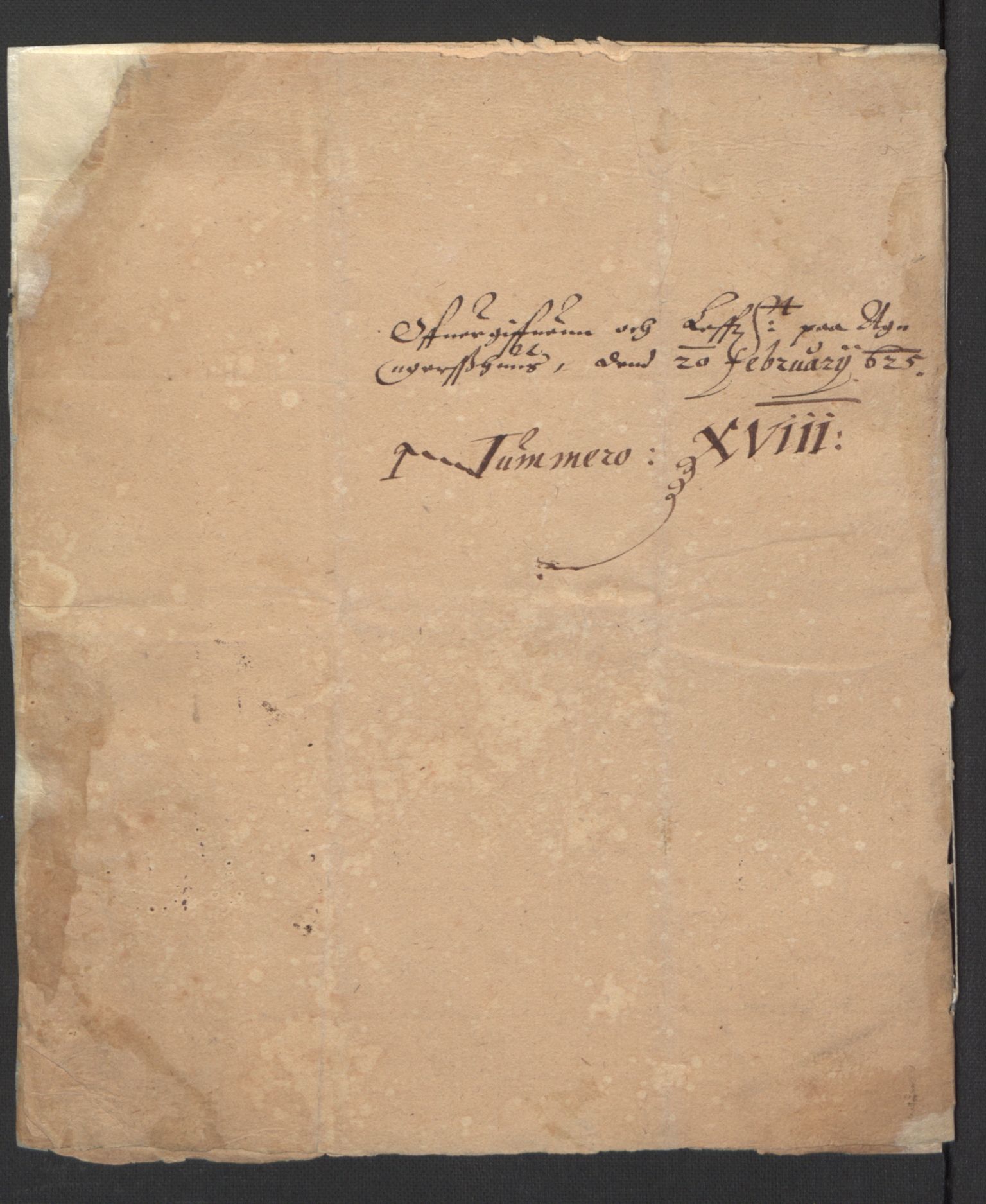 Stattholderembetet 1572-1771, RA/EA-2870/Ek/L0007/0001: Jordebøker til utlikning av rosstjeneste 1624-1626: / Adelsjordebøker, 1624-1625, p. 445