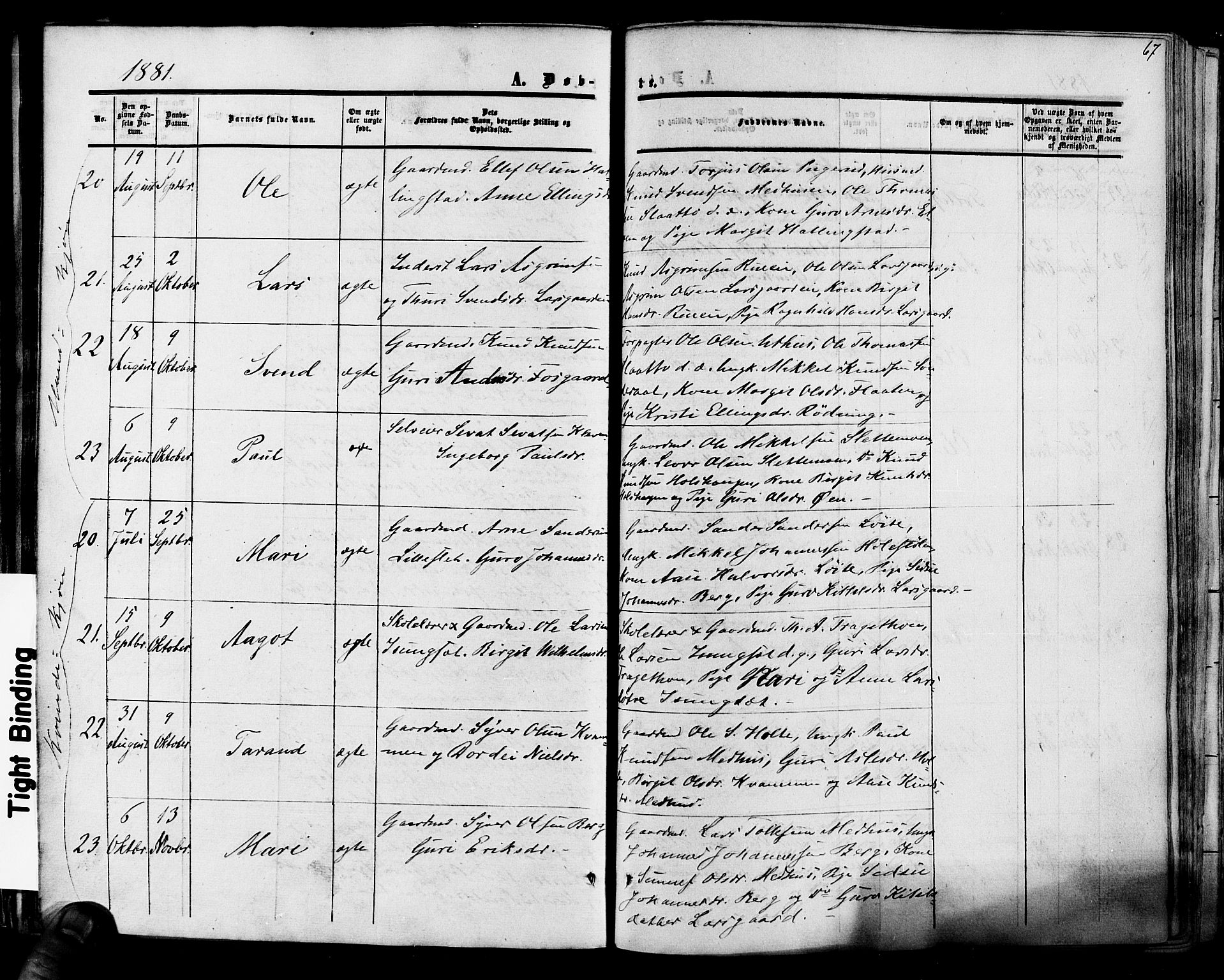 Hol kirkebøker, AV/SAKO-A-227/F/Fa/L0002: Parish register (official) no. I 2, 1870-1886, p. 67