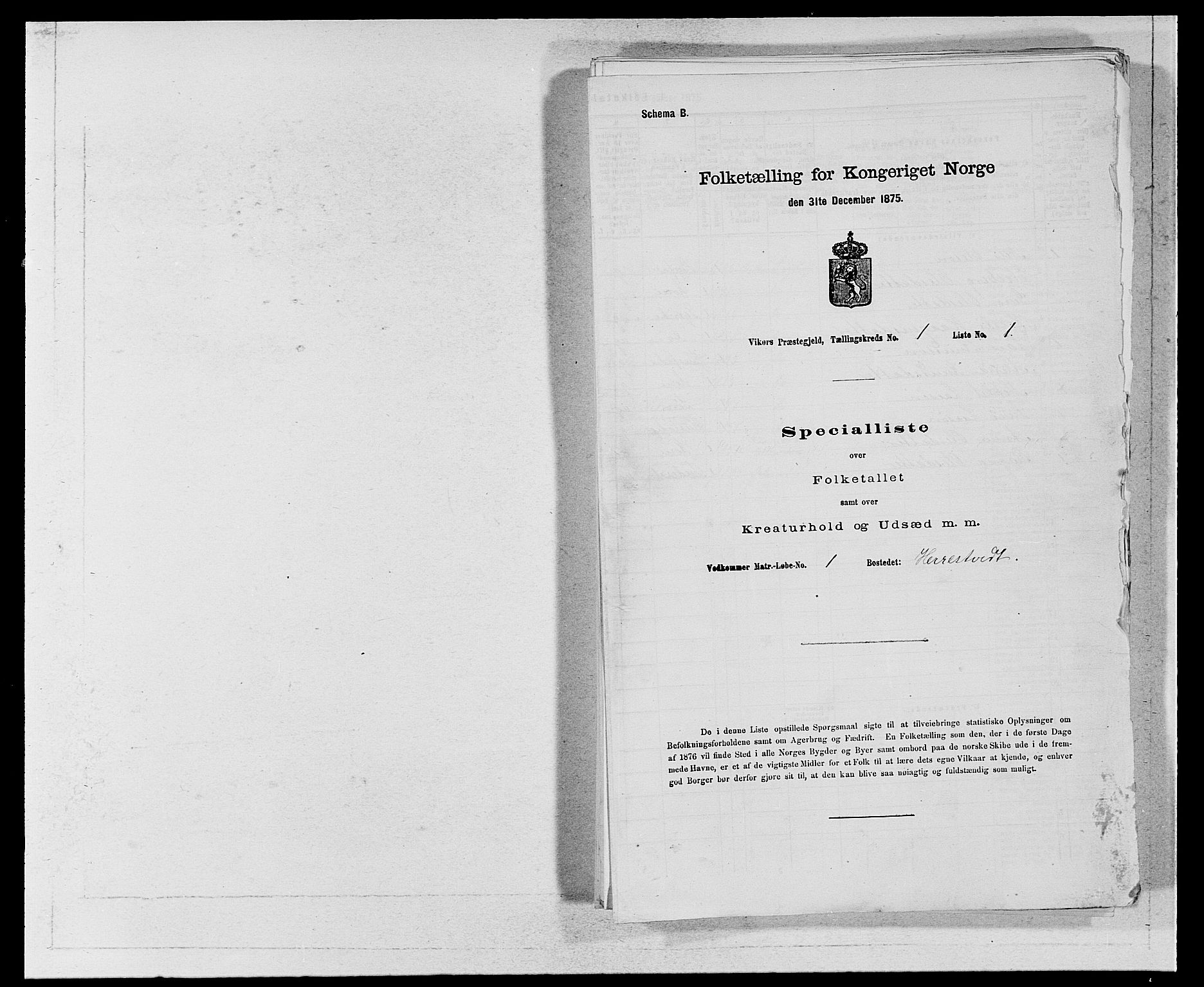 SAB, 1875 census for 1238P Vikør, 1875, p. 21
