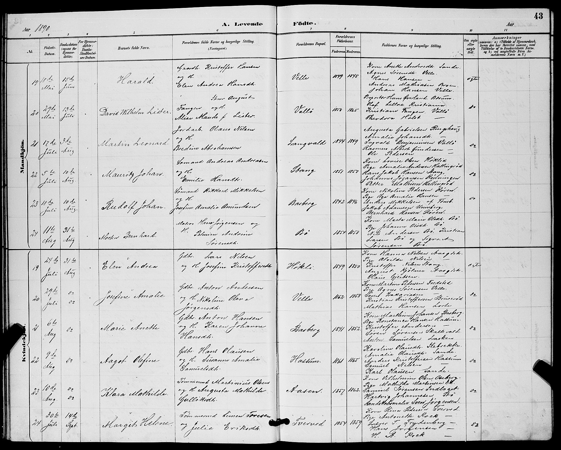 Sem kirkebøker, AV/SAKO-A-5/G/Gb/L0002: Parish register (copy) no. II 2, 1886-1899, p. 43