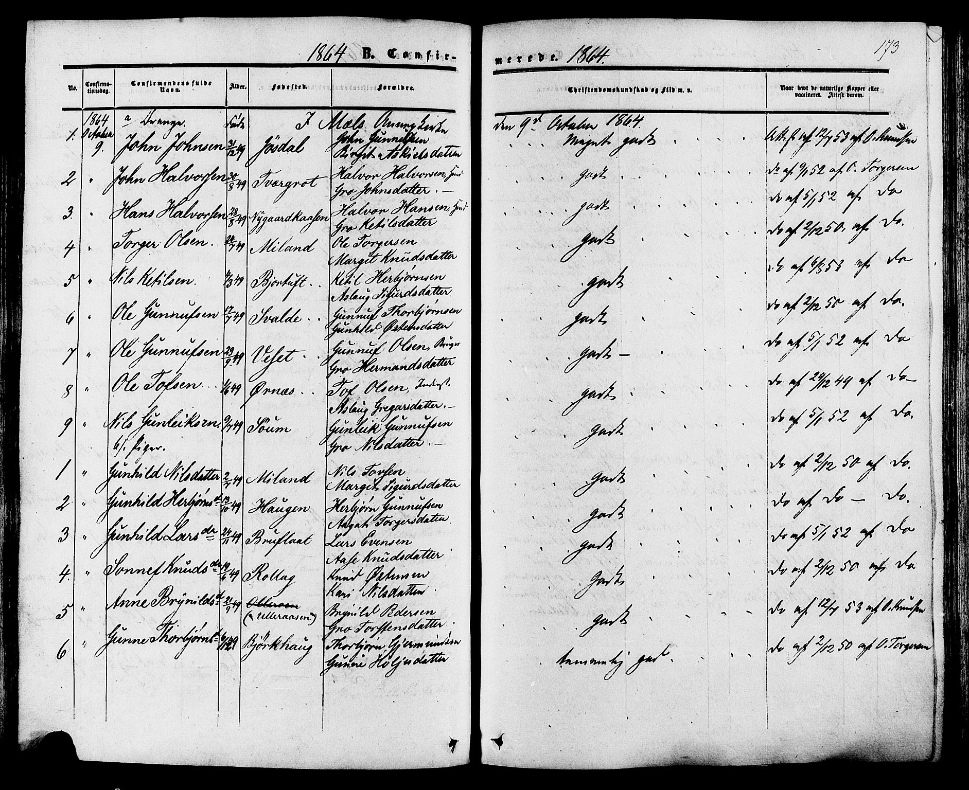 Tinn kirkebøker, AV/SAKO-A-308/F/Fa/L0006: Parish register (official) no. I 6, 1857-1878, p. 173
