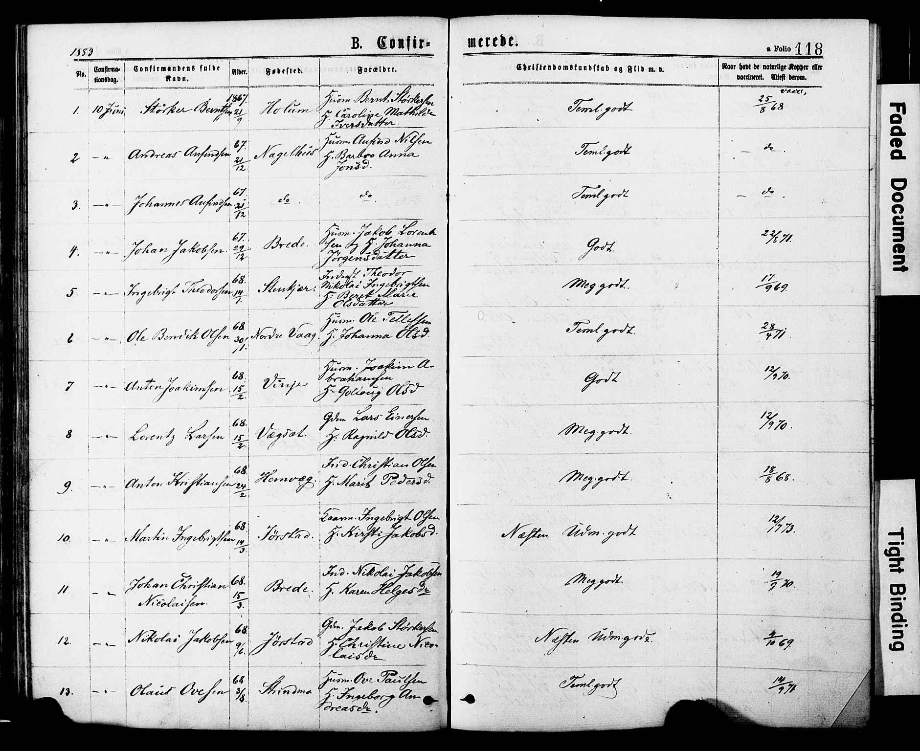 Ministerialprotokoller, klokkerbøker og fødselsregistre - Nord-Trøndelag, SAT/A-1458/749/L0473: Parish register (official) no. 749A07, 1873-1887, p. 118