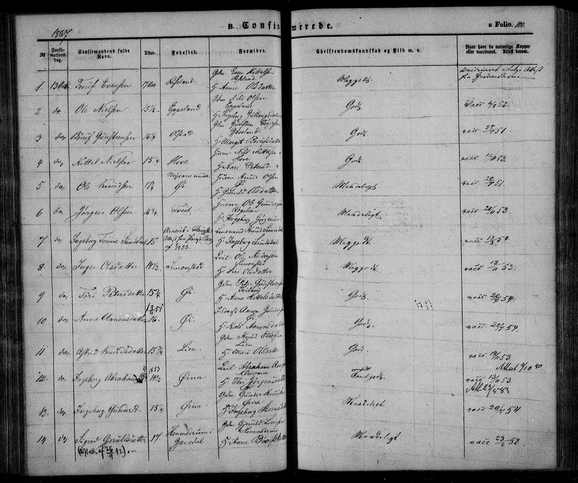 Åmli sokneprestkontor, SAK/1111-0050/F/Fa/Fac/L0008: Parish register (official) no. A 8, 1852-1869, p. 100