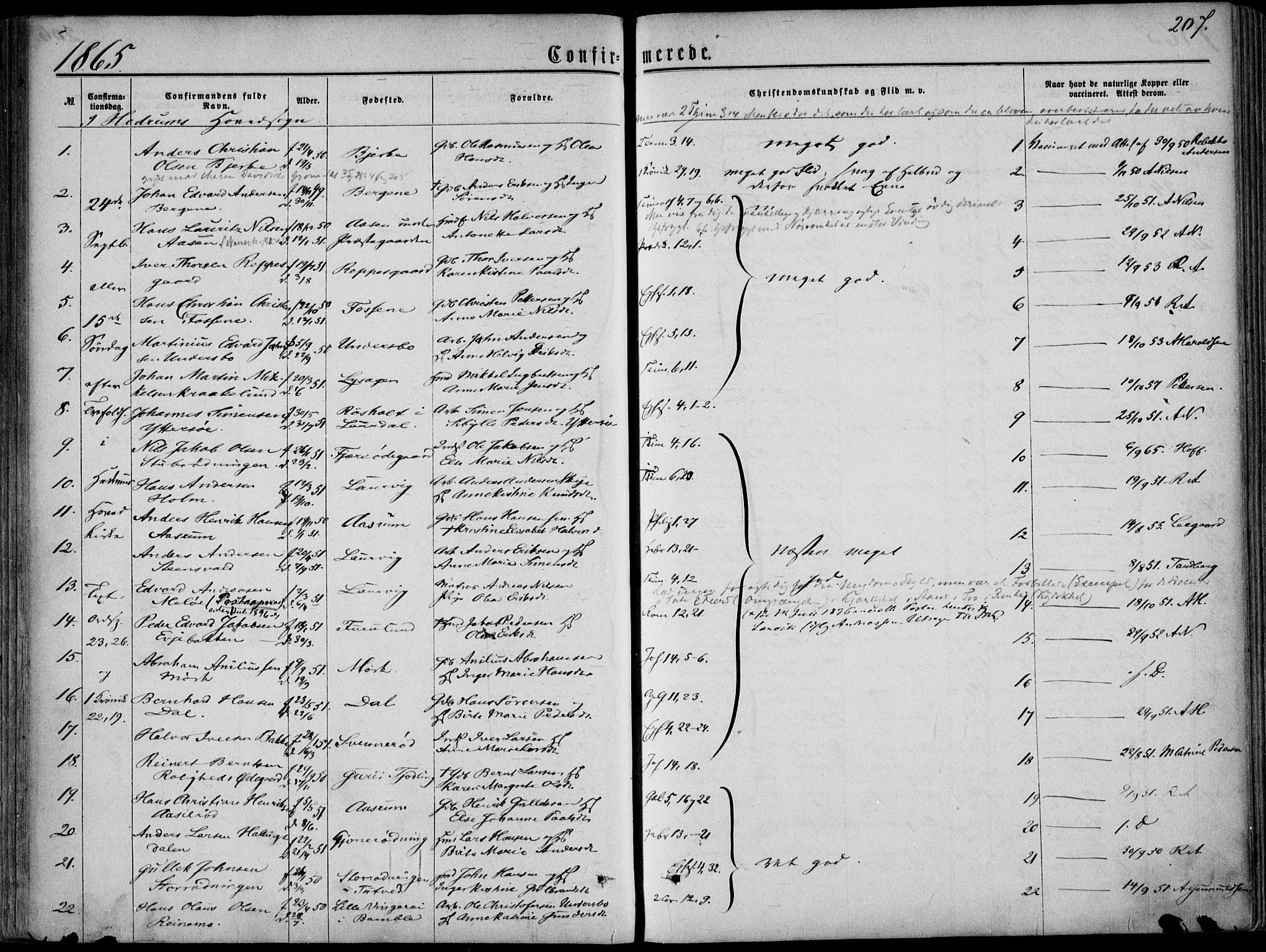 Hedrum kirkebøker, AV/SAKO-A-344/F/Fa/L0007: Parish register (official) no. I 7, 1857-1868, p. 207