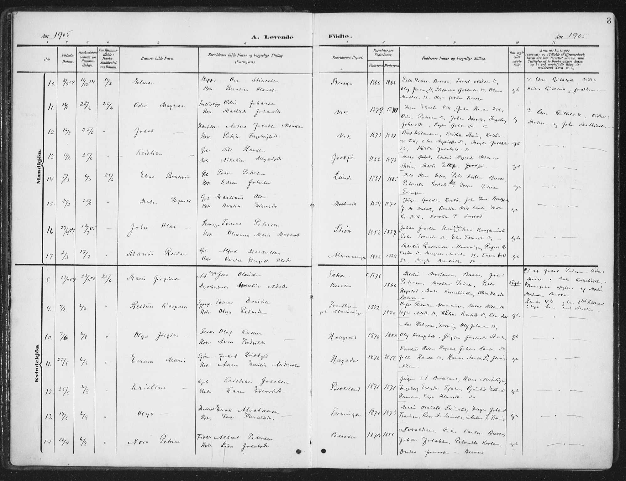 Ministerialprotokoller, klokkerbøker og fødselsregistre - Sør-Trøndelag, AV/SAT-A-1456/657/L0709: Parish register (official) no. 657A10, 1905-1919, p. 3