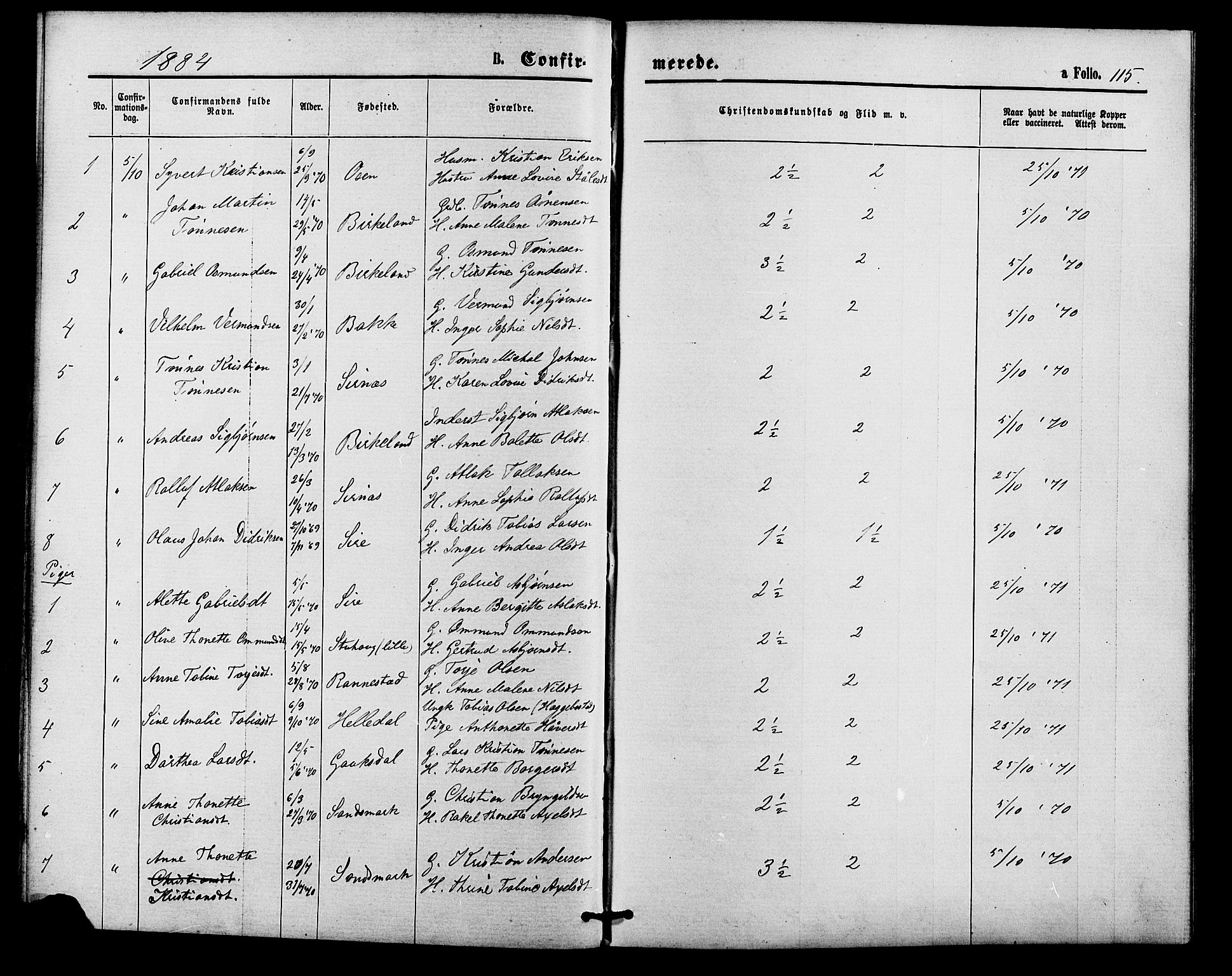 Bakke sokneprestkontor, SAK/1111-0002/F/Fa/Faa/L0007: Parish register (official) no. A 7, 1877-1886, p. 115