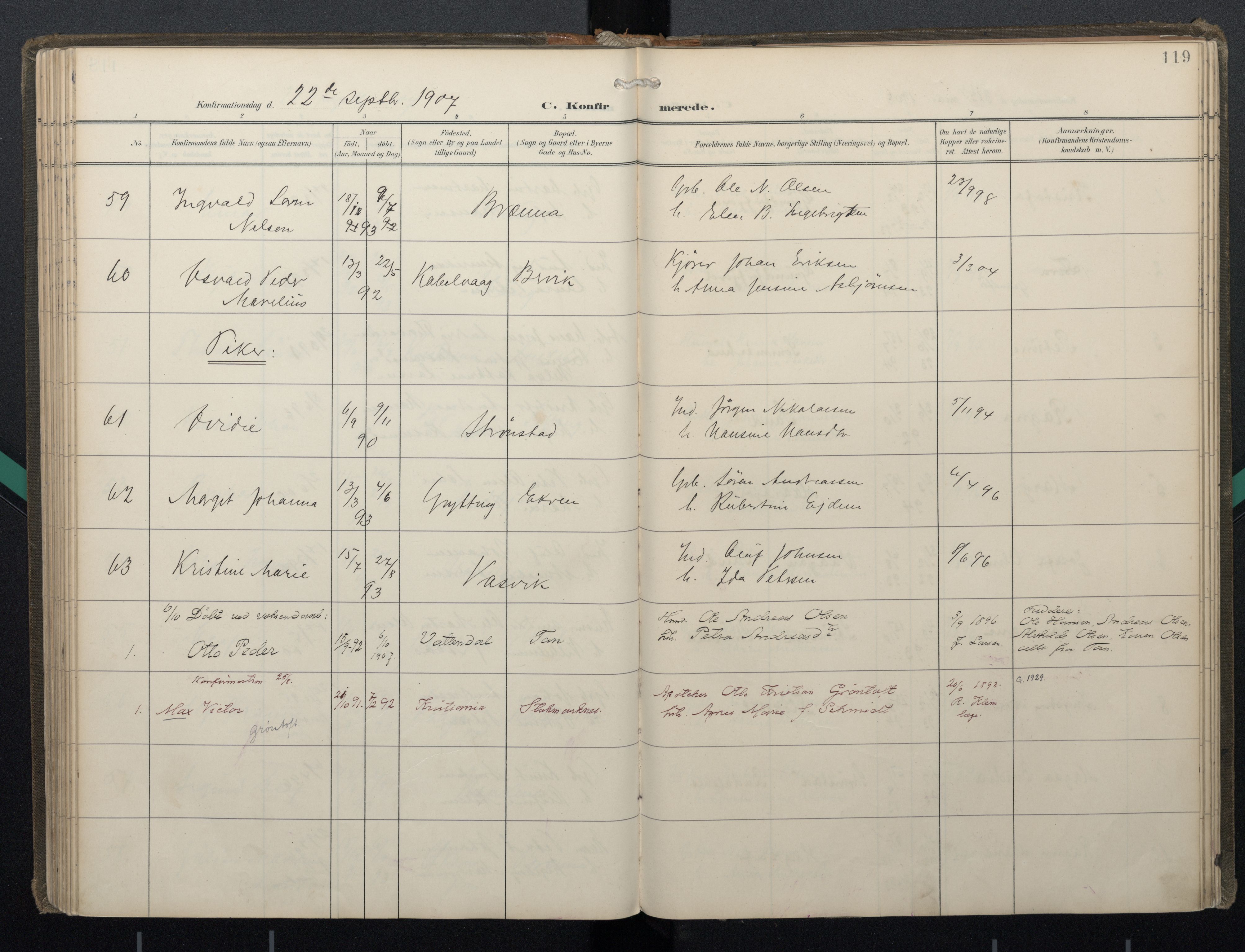 Ministerialprotokoller, klokkerbøker og fødselsregistre - Nordland, AV/SAT-A-1459/888/L1247: Parish register (official) no. 888A13, 1900-1911, p. 119