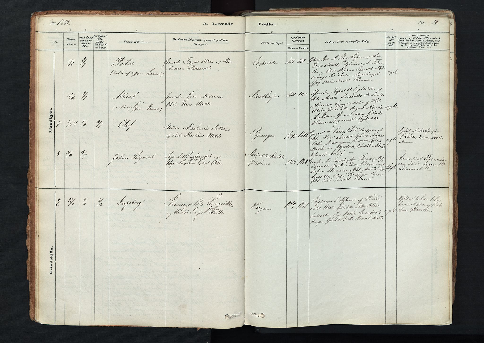 Trysil prestekontor, SAH/PREST-046/H/Ha/Haa/L0011: Parish register (official) no. 11, 1878-1912, p. 14