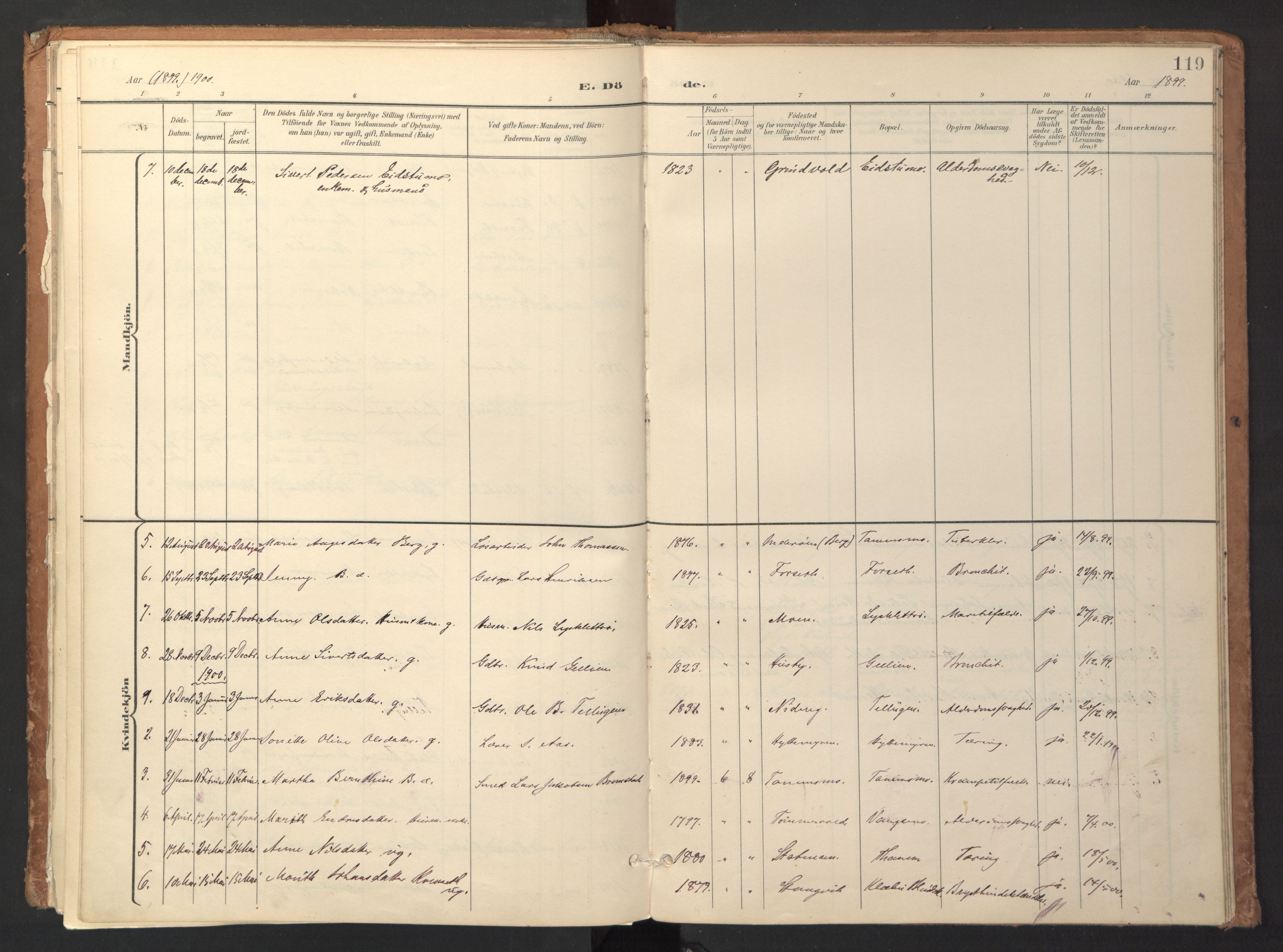 Ministerialprotokoller, klokkerbøker og fødselsregistre - Sør-Trøndelag, SAT/A-1456/618/L0448: Parish register (official) no. 618A11, 1898-1916, p. 119