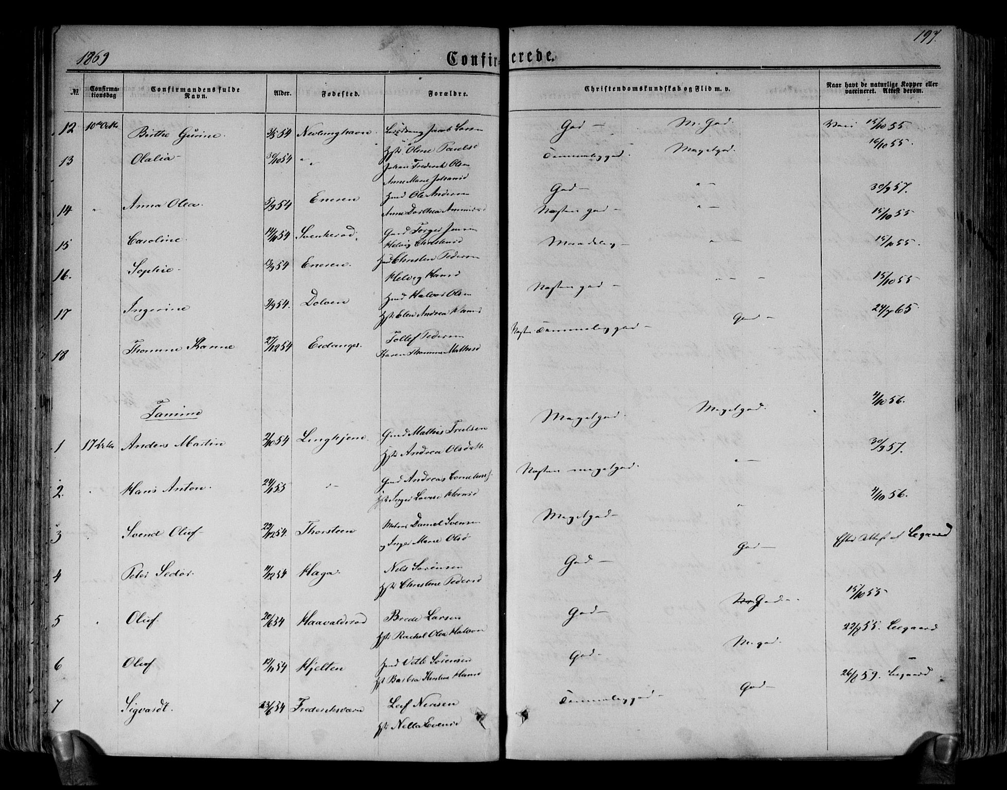 Brunlanes kirkebøker, AV/SAKO-A-342/F/Fa/L0005: Parish register (official) no. I 5, 1862-1877, p. 197