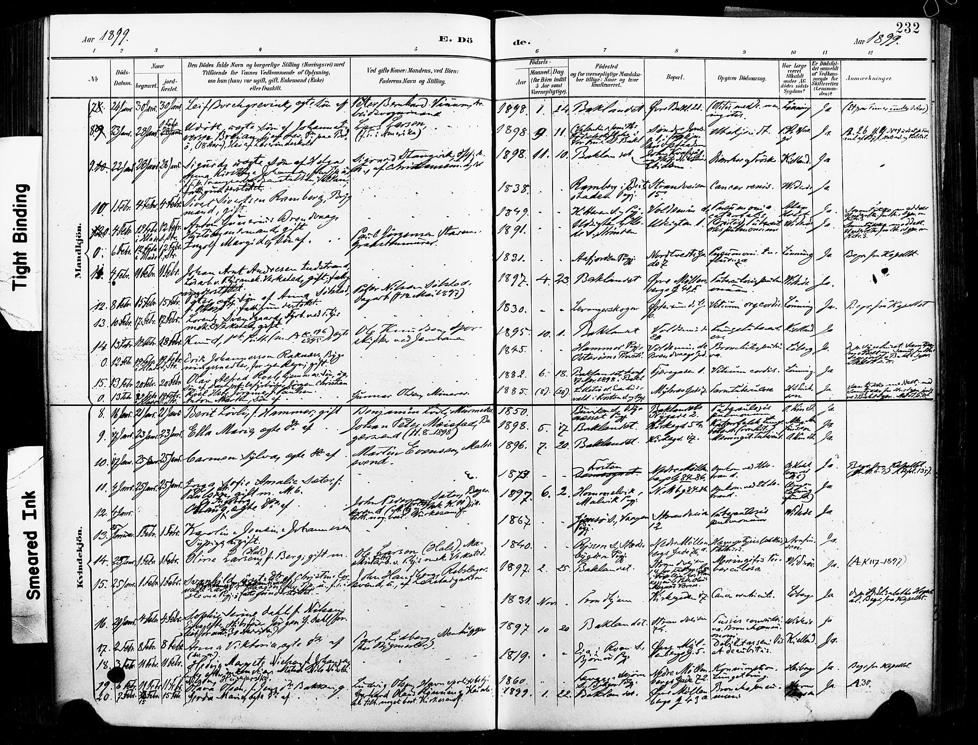 Ministerialprotokoller, klokkerbøker og fødselsregistre - Sør-Trøndelag, AV/SAT-A-1456/604/L0198: Parish register (official) no. 604A19, 1893-1900, p. 232