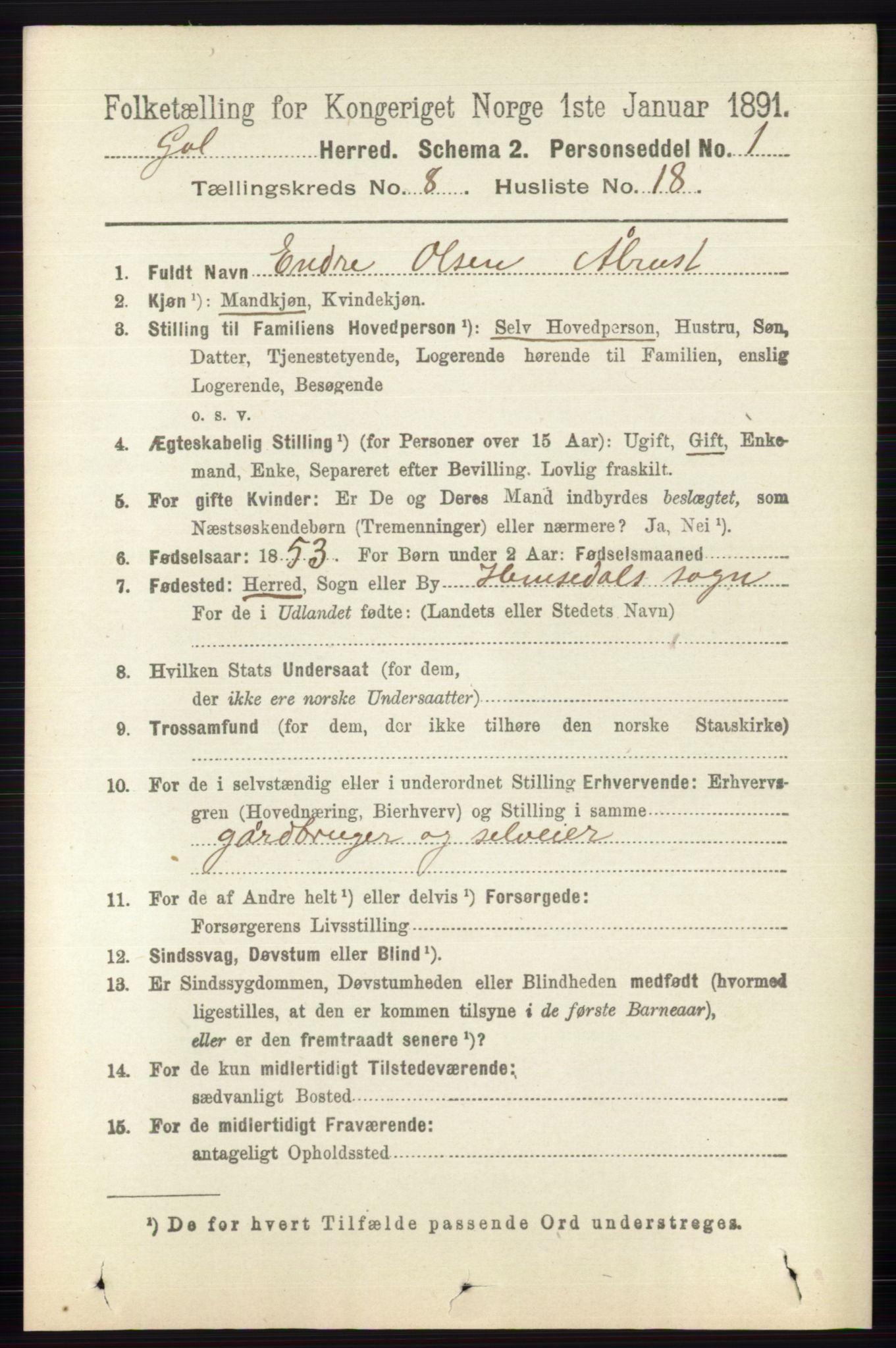 RA, 1891 census for 0617 Gol og Hemsedal, 1891, p. 3126