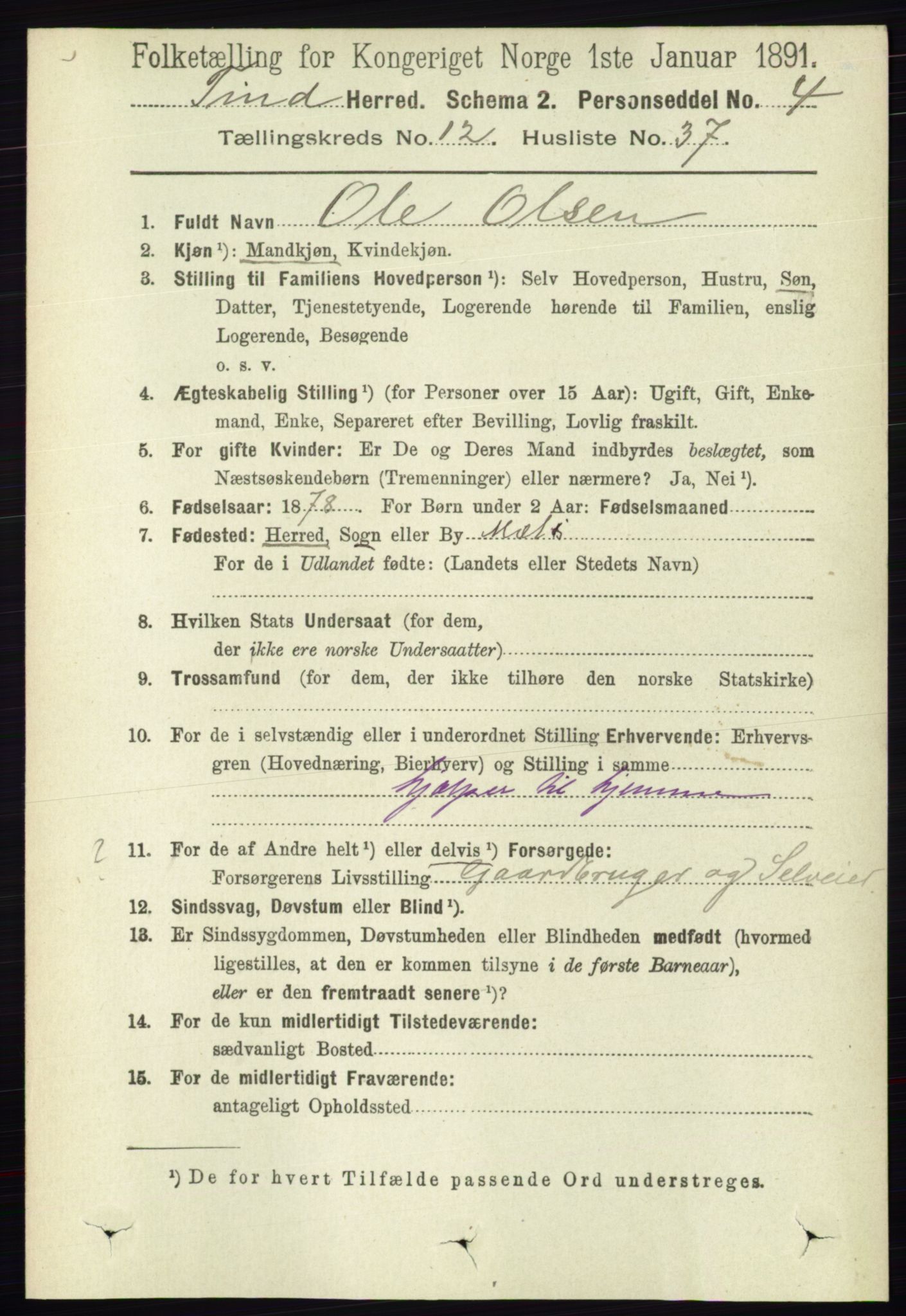 RA, 1891 census for 0826 Tinn, 1891, p. 2531