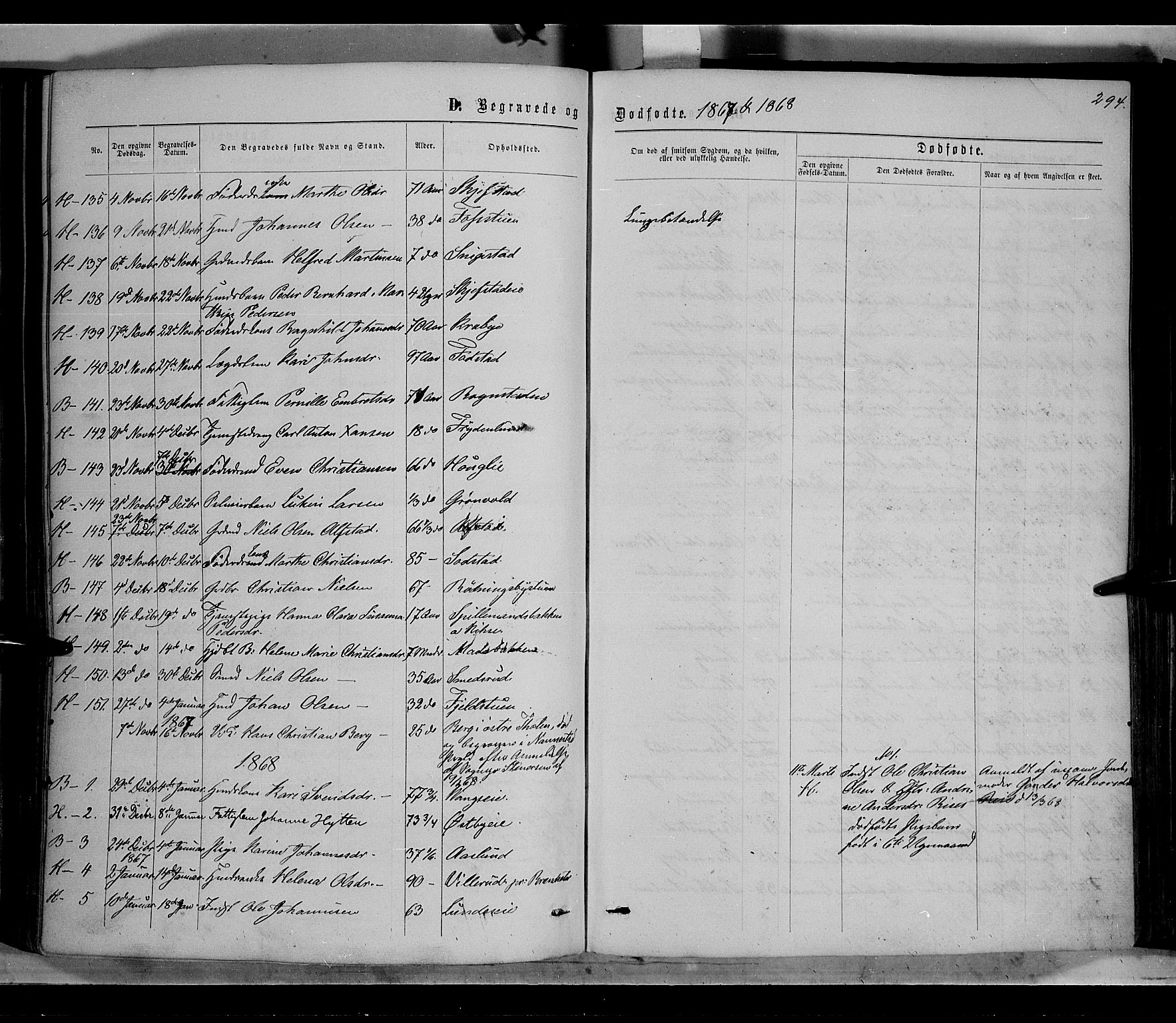 Østre Toten prestekontor, SAH/PREST-104/H/Ha/Haa/L0005: Parish register (official) no. 5, 1866-1877, p. 294