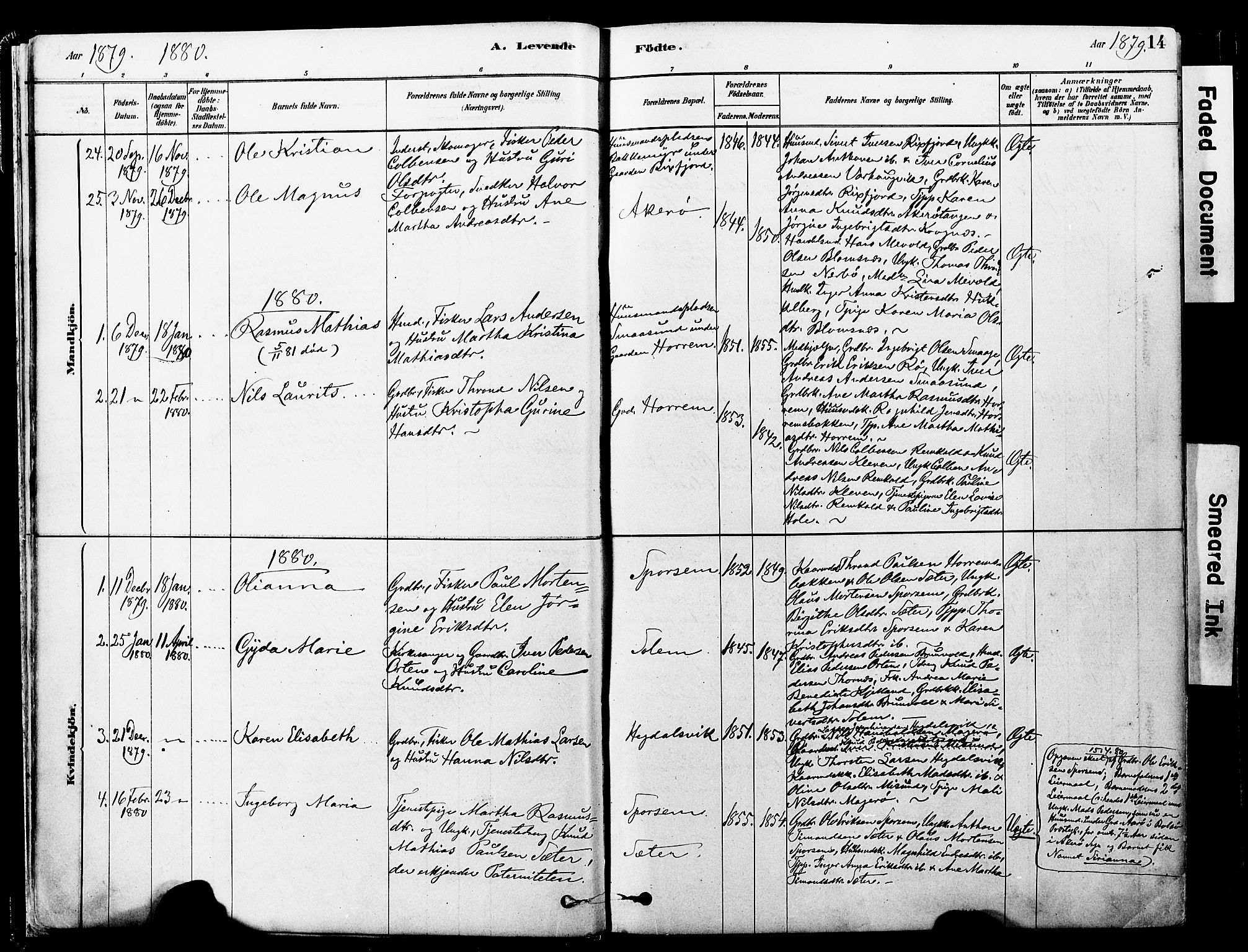 Ministerialprotokoller, klokkerbøker og fødselsregistre - Møre og Romsdal, SAT/A-1454/560/L0721: Parish register (official) no. 560A05, 1878-1917, p. 14