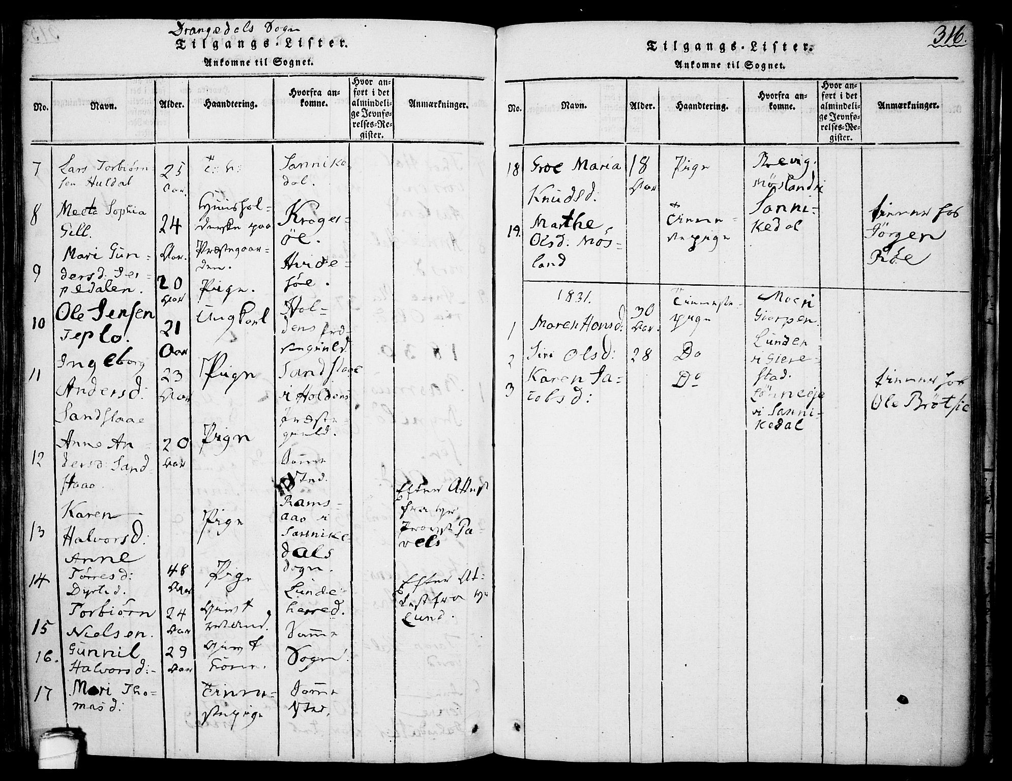 Drangedal kirkebøker, AV/SAKO-A-258/F/Fa/L0005: Parish register (official) no. 5 /1, 1814-1831, p. 316