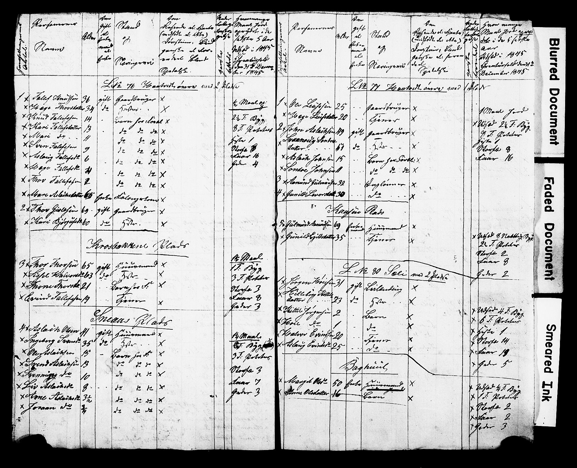 , Census 1845 for Kviteseid, 1845, p. 37