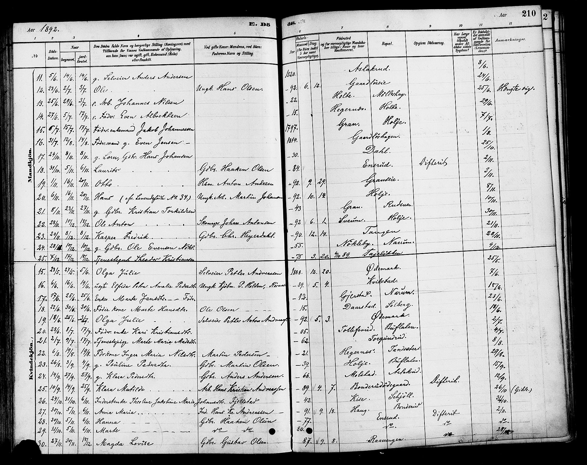 Vestre Toten prestekontor, SAH/PREST-108/H/Ha/Haa/L0010: Parish register (official) no. 10, 1878-1894, p. 210