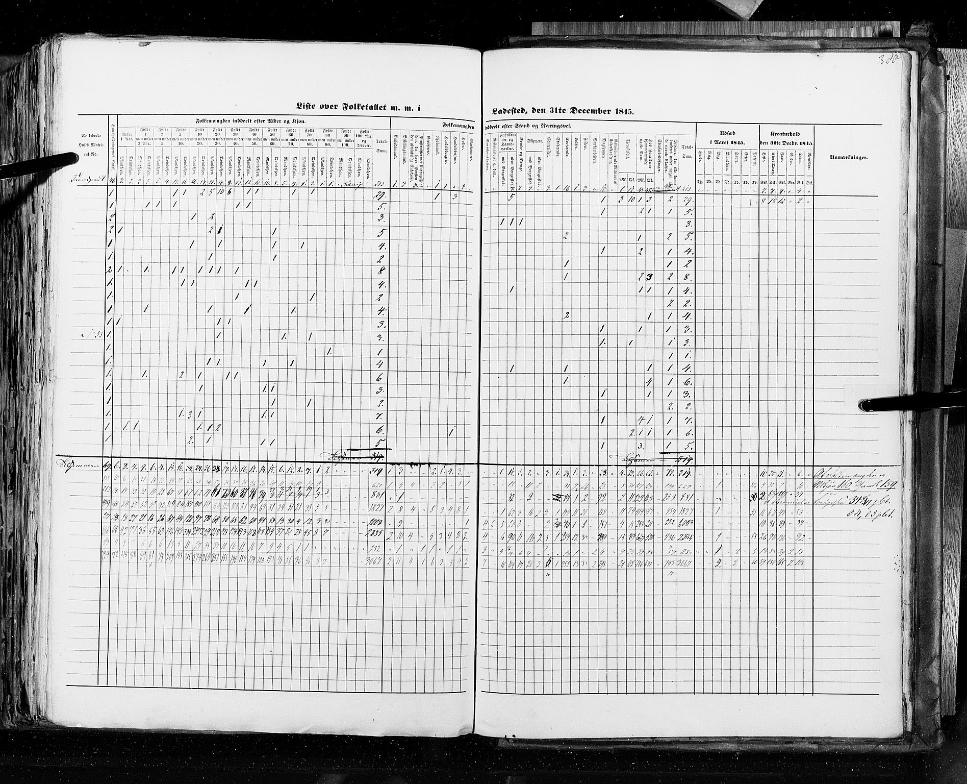 RA, Census 1845, vol. 10: Cities, 1845, p. 380