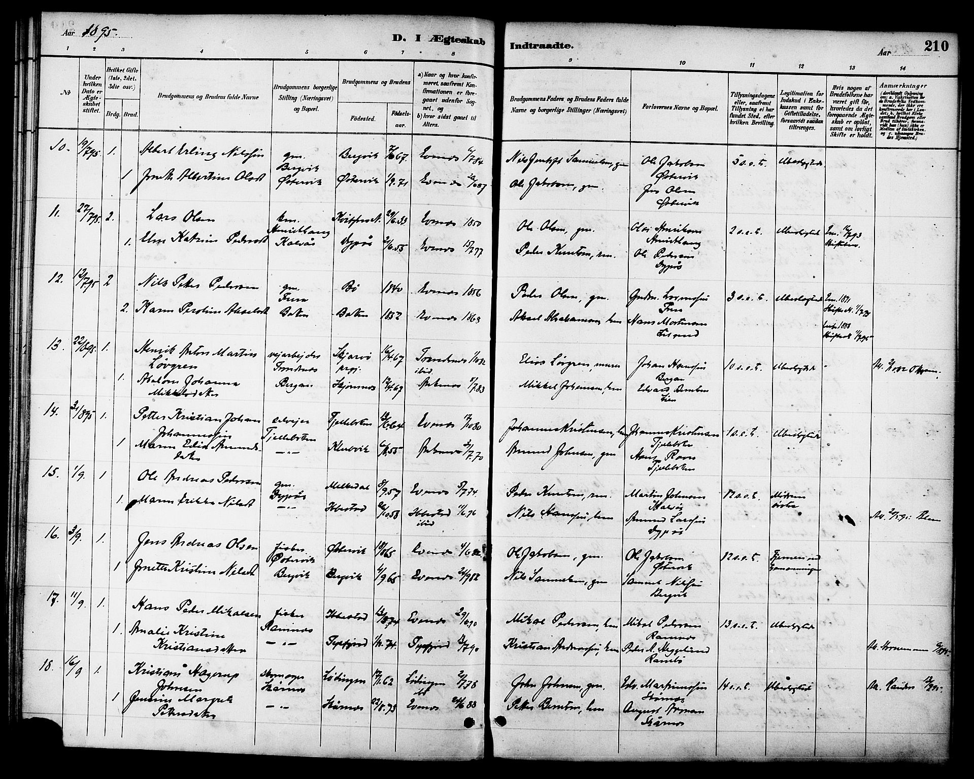 Ministerialprotokoller, klokkerbøker og fødselsregistre - Nordland, AV/SAT-A-1459/863/L0898: Parish register (official) no. 863A10, 1886-1897, p. 210