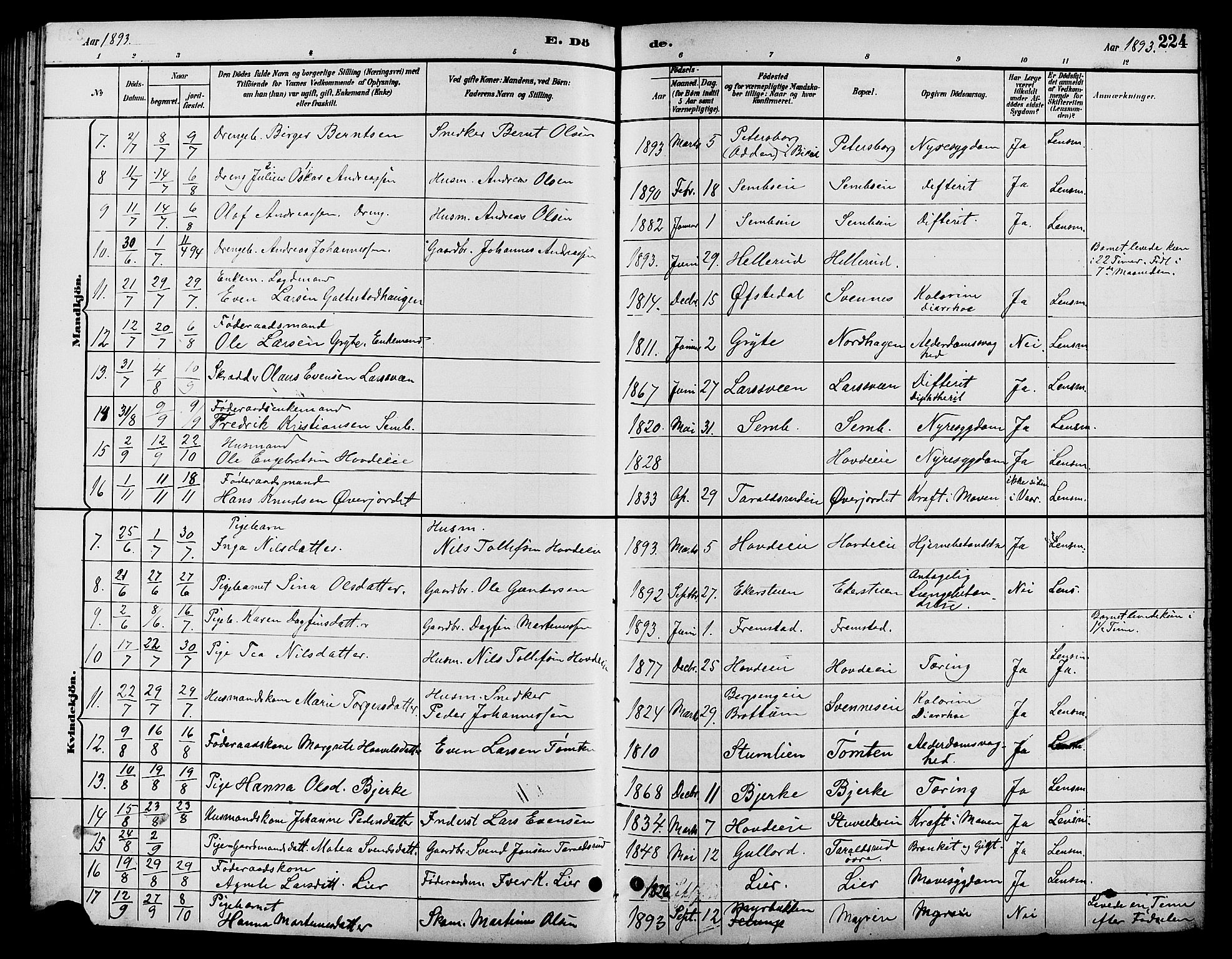 Biri prestekontor, AV/SAH-PREST-096/H/Ha/Hab/L0004: Parish register (copy) no. 4, 1892-1909, p. 224