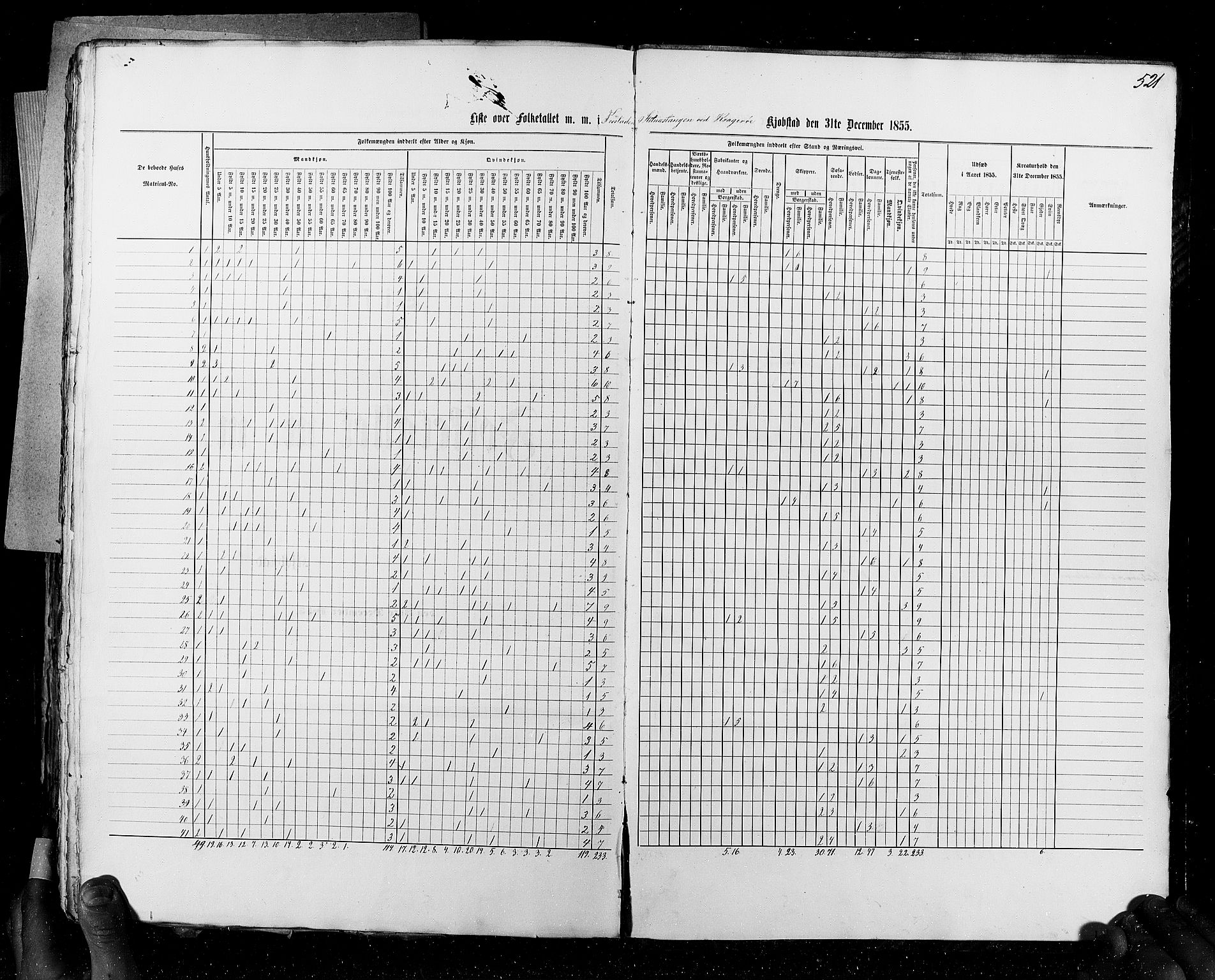 RA, Census 1855, vol. 7: Fredrikshald-Kragerø, 1855, p. 521