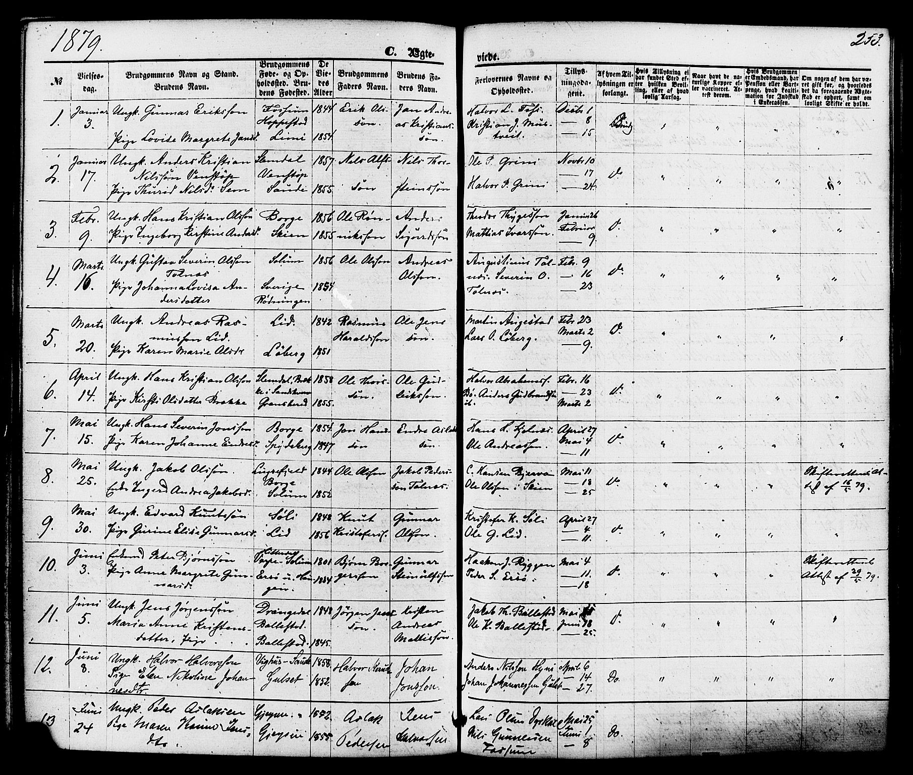 Gjerpen kirkebøker, SAKO/A-265/F/Fa/L0009: Parish register (official) no. I 9, 1872-1885, p. 253