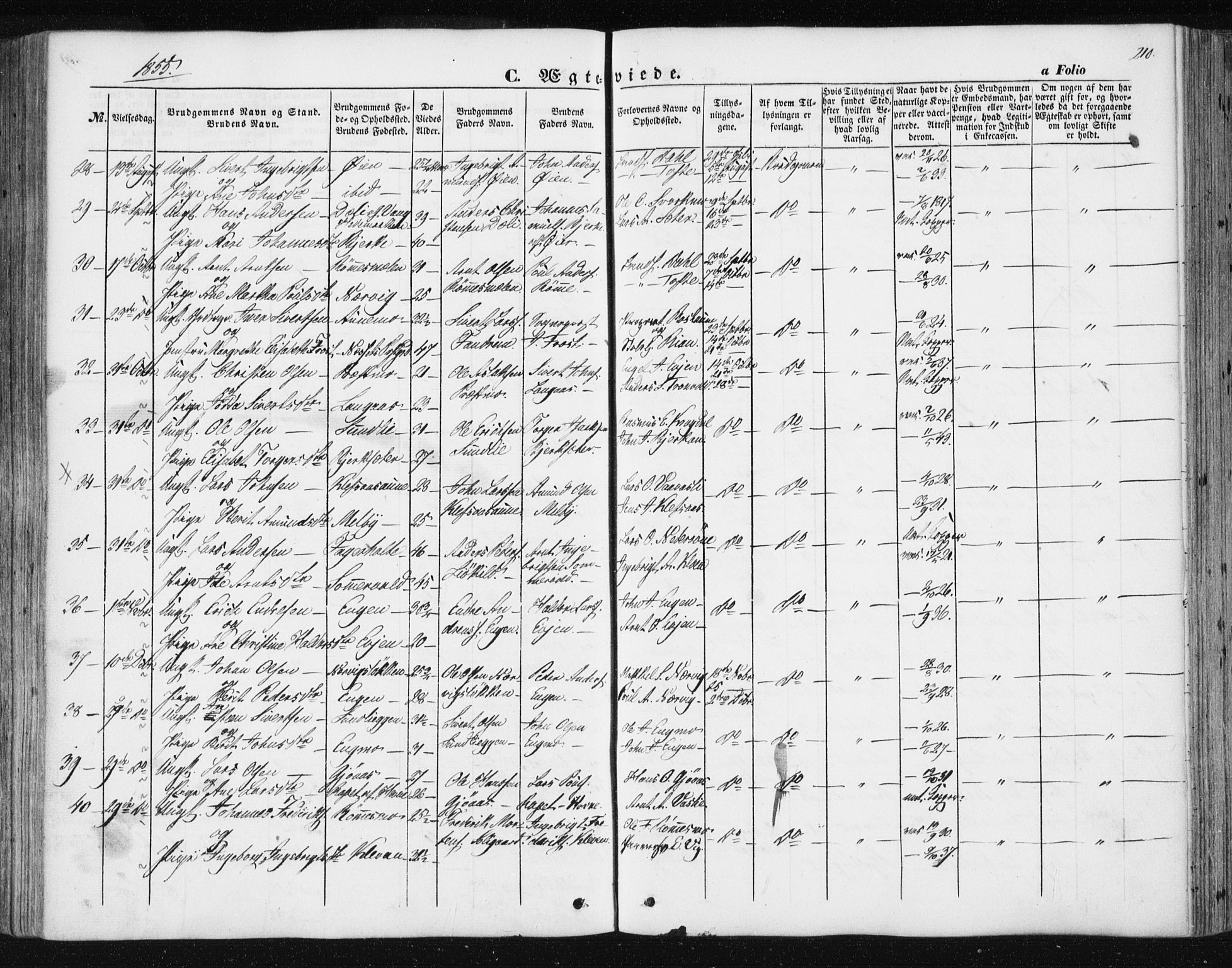 Ministerialprotokoller, klokkerbøker og fødselsregistre - Sør-Trøndelag, SAT/A-1456/668/L0806: Parish register (official) no. 668A06, 1854-1869, p. 210