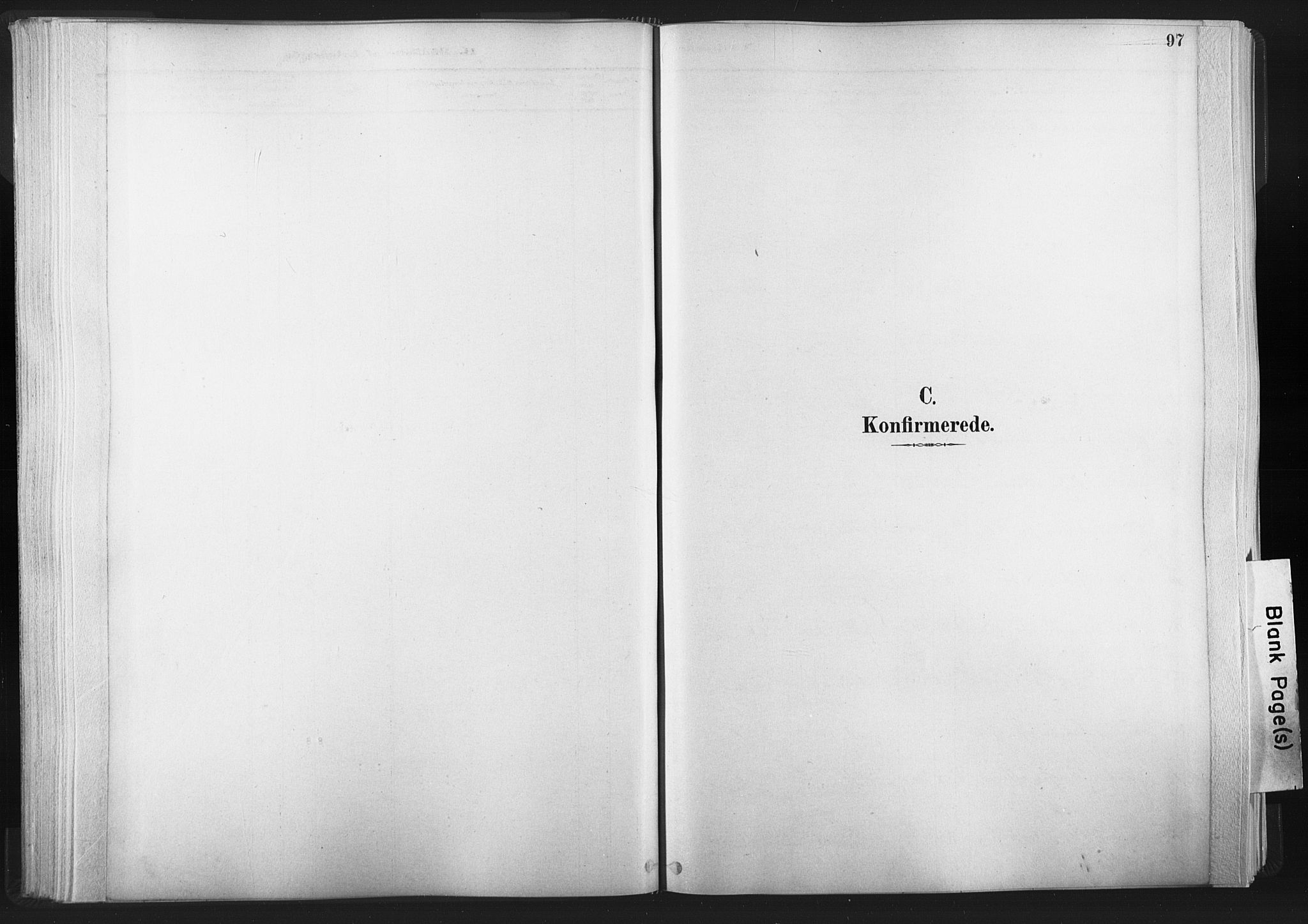 Ministerialprotokoller, klokkerbøker og fødselsregistre - Nord-Trøndelag, SAT/A-1458/749/L0474: Parish register (official) no. 749A08, 1887-1903, p. 97
