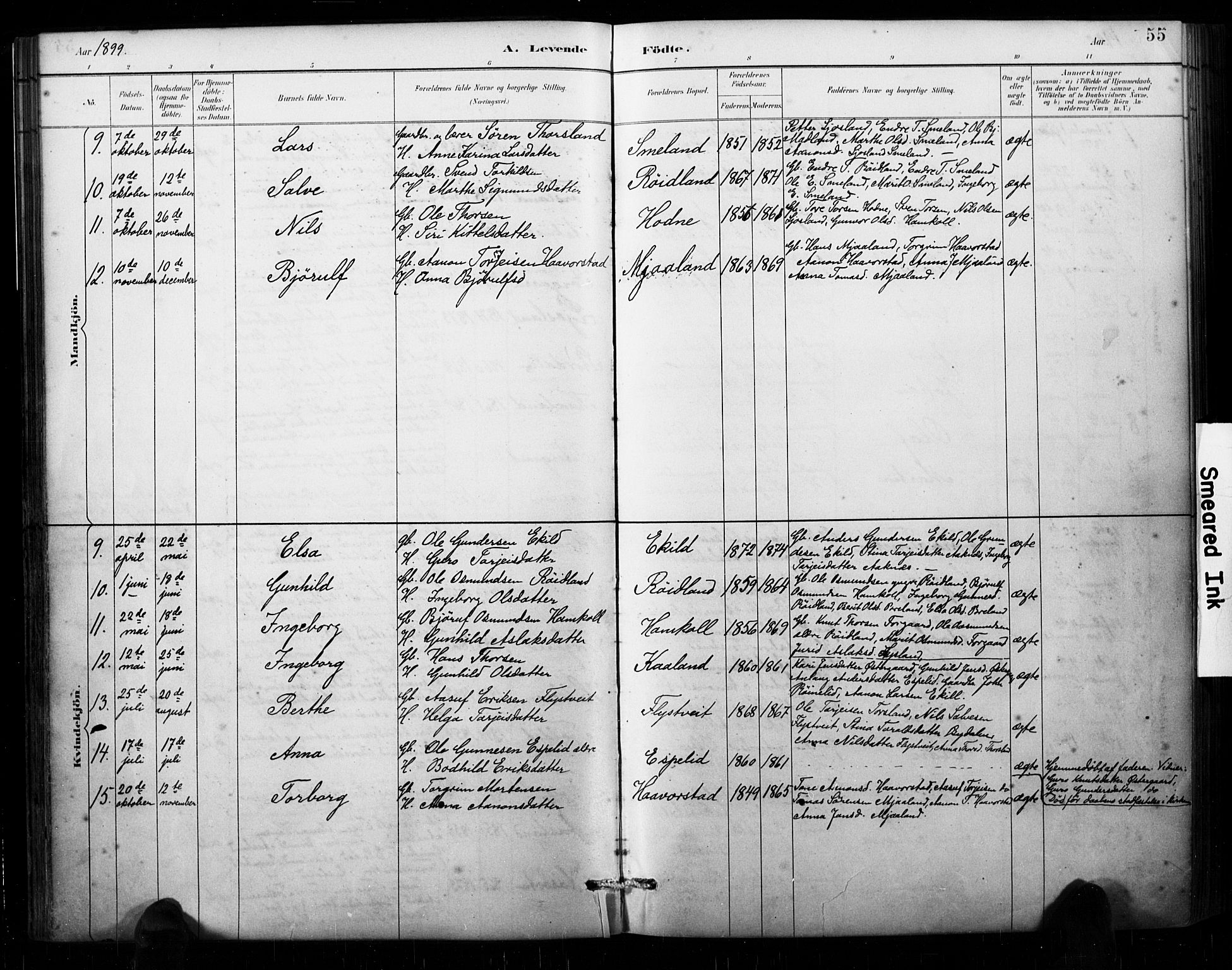 Åseral sokneprestkontor, AV/SAK-1111-0051/F/Fa/L0003: Parish register (official) no. A 3, 1884-1901, p. 55