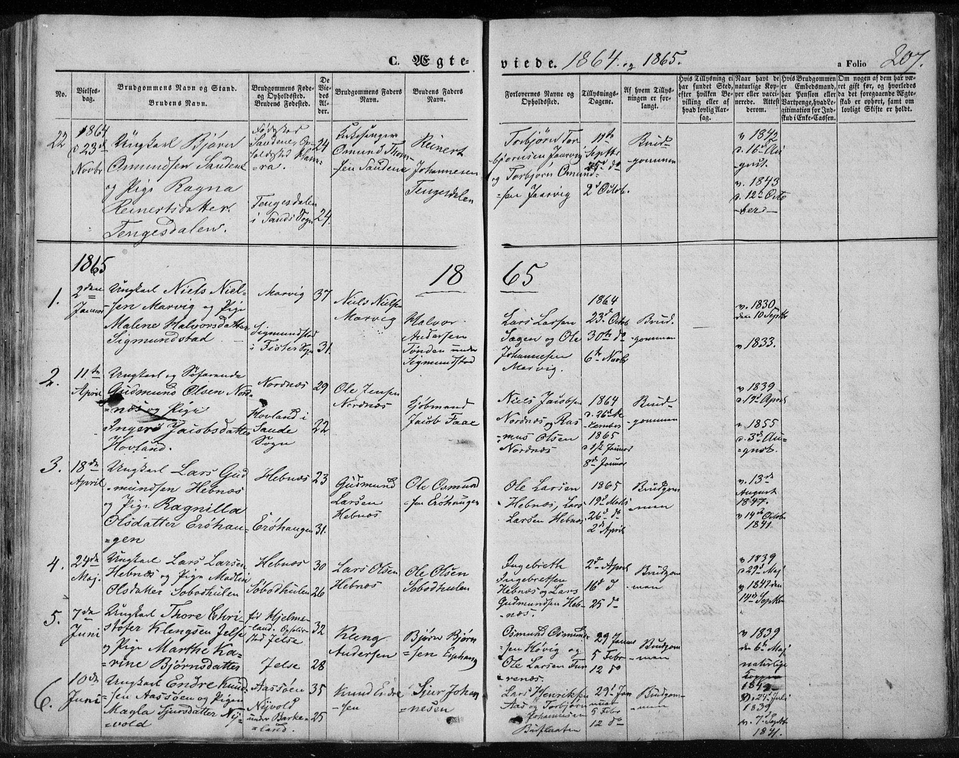 Jelsa sokneprestkontor, SAST/A-101842/01/IV: Parish register (official) no. A 7, 1854-1866, p. 207