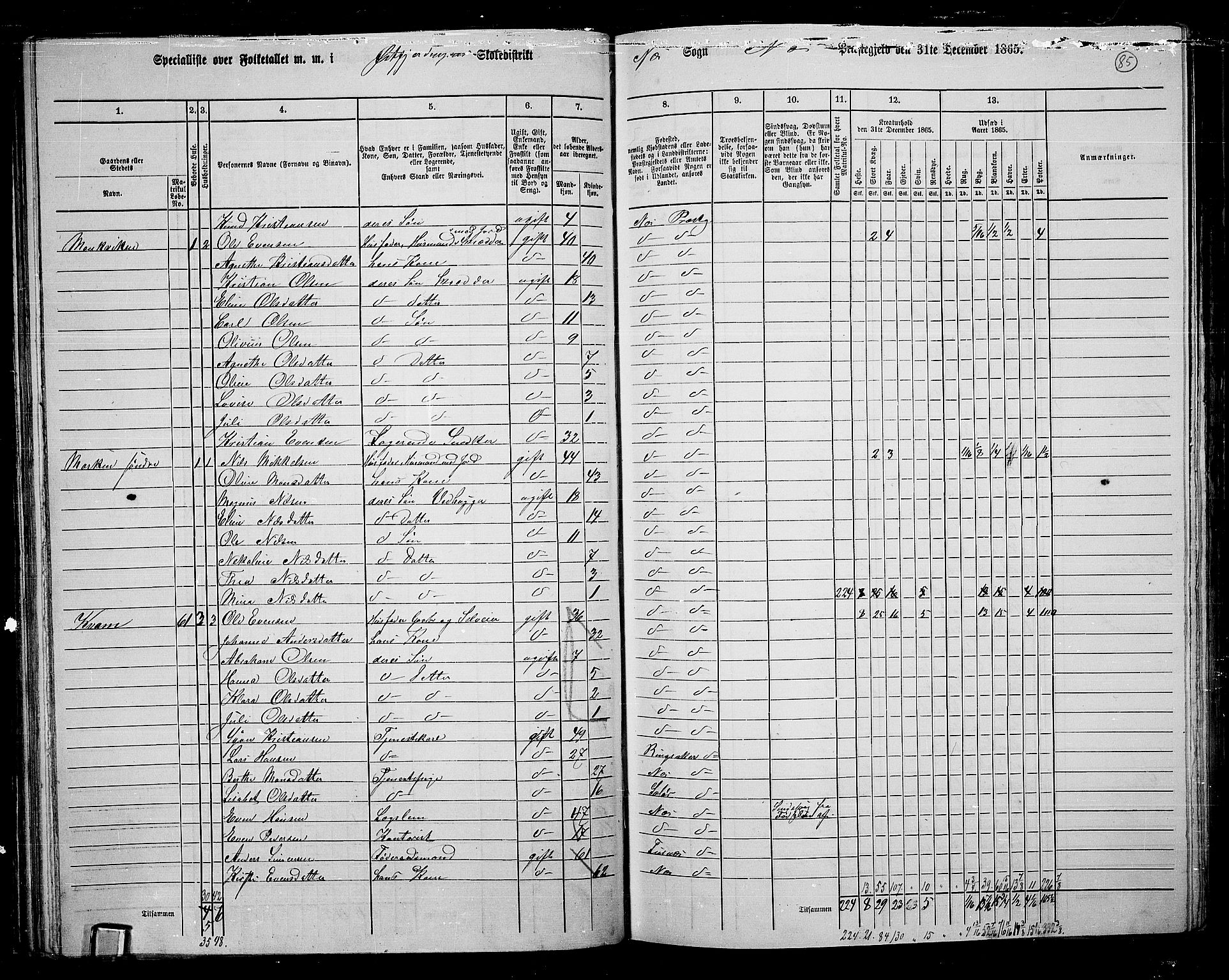 RA, 1865 census for Nes, 1865, p. 73