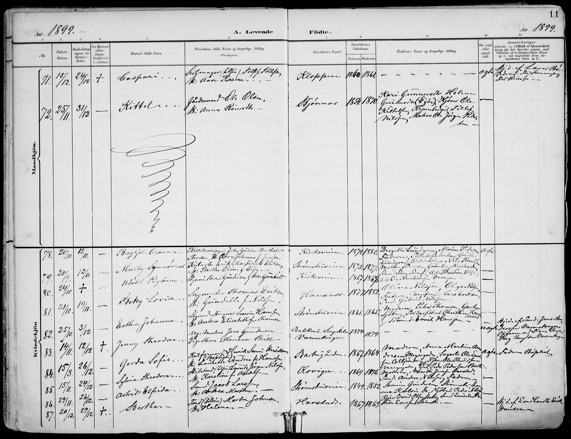 Barbu sokneprestkontor, AV/SAK-1111-0003/F/Fa/L0005: Parish register (official) no. A 5, 1899-1909, p. 11