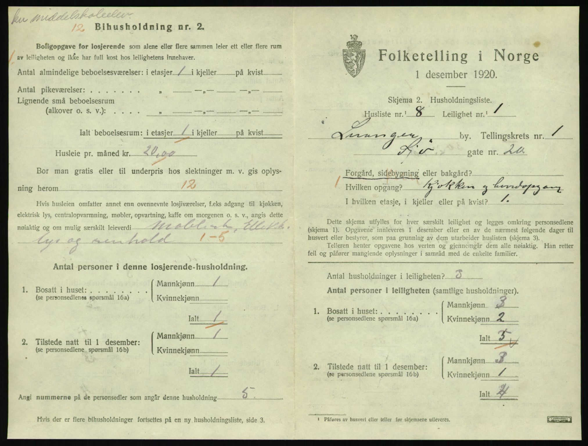 SAT, 1920 census for Levanger town, 1920, p. 484