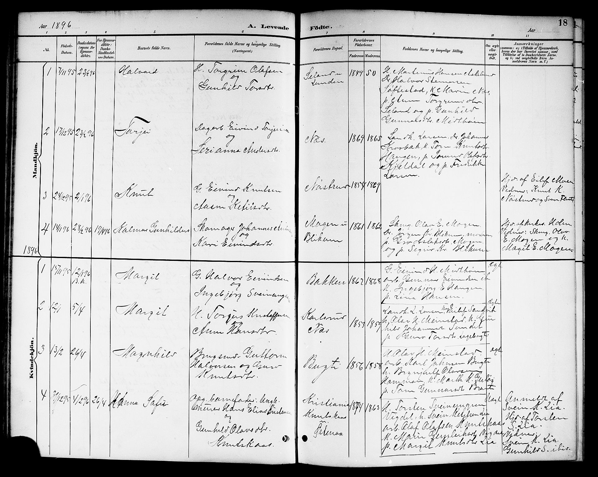 Kviteseid kirkebøker, SAKO/A-276/G/Ga/L0002: Parish register (copy) no. I 2, 1893-1918, p. 18