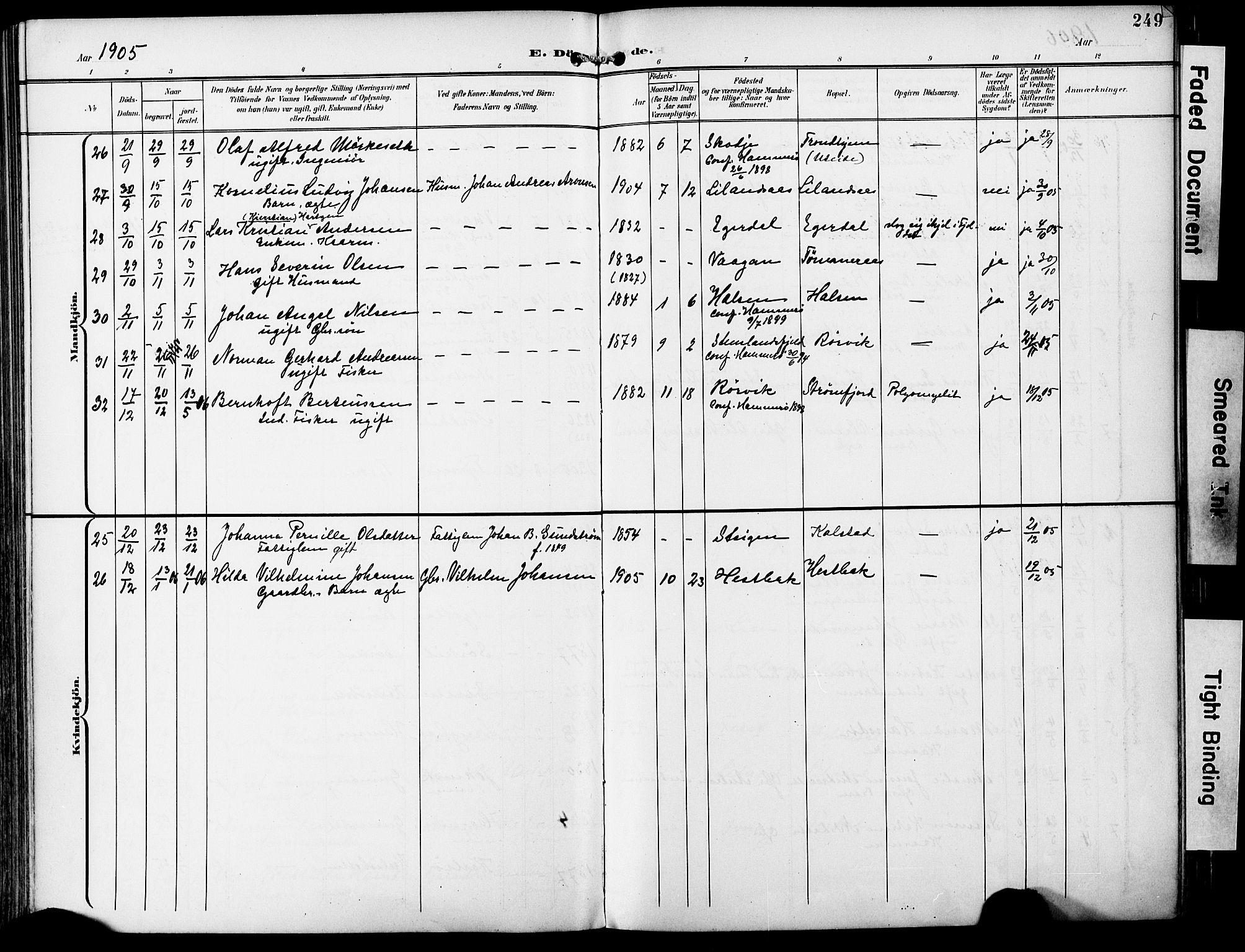 Ministerialprotokoller, klokkerbøker og fødselsregistre - Nordland, AV/SAT-A-1459/859/L0848: Parish register (official) no. 859A08, 1900-1912, p. 249